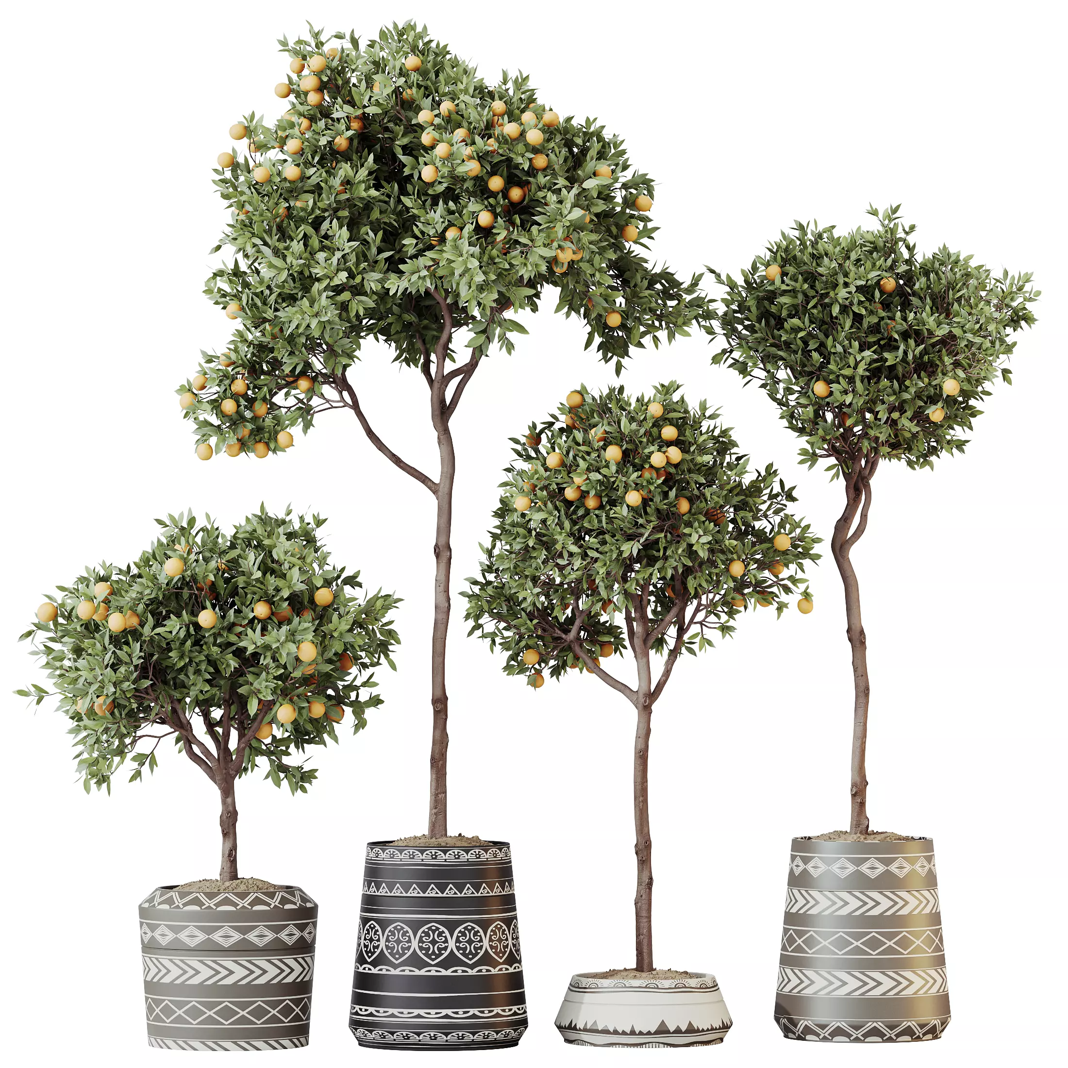 HousePlants Mandarin Citrus Fruit Orange Calamondin Tree 3D model_0