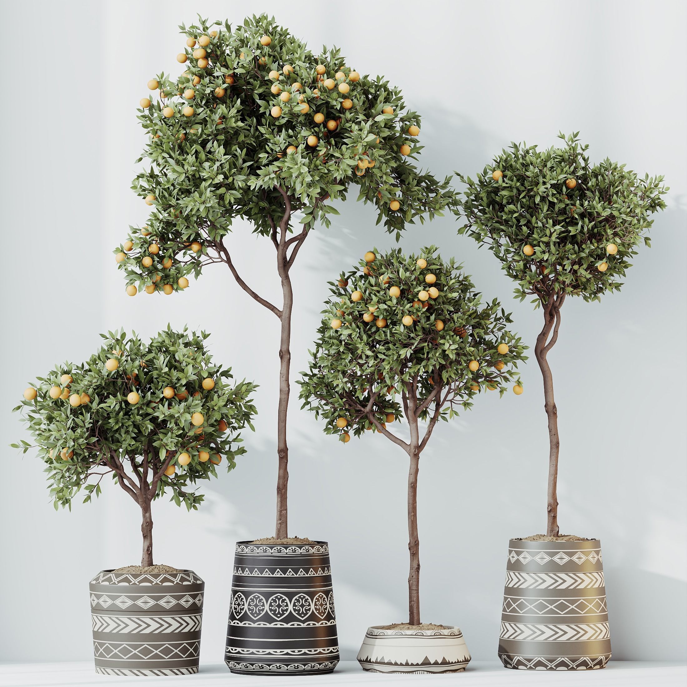 HousePlants Mandarin Citrus Fruit Orange Calamondin Tree 3D model_3