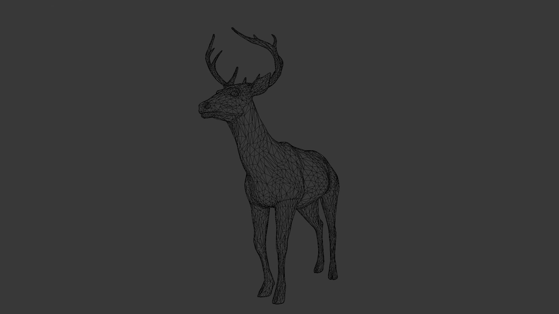 Animated Deer 3D Model  Low-poly 3D model_13