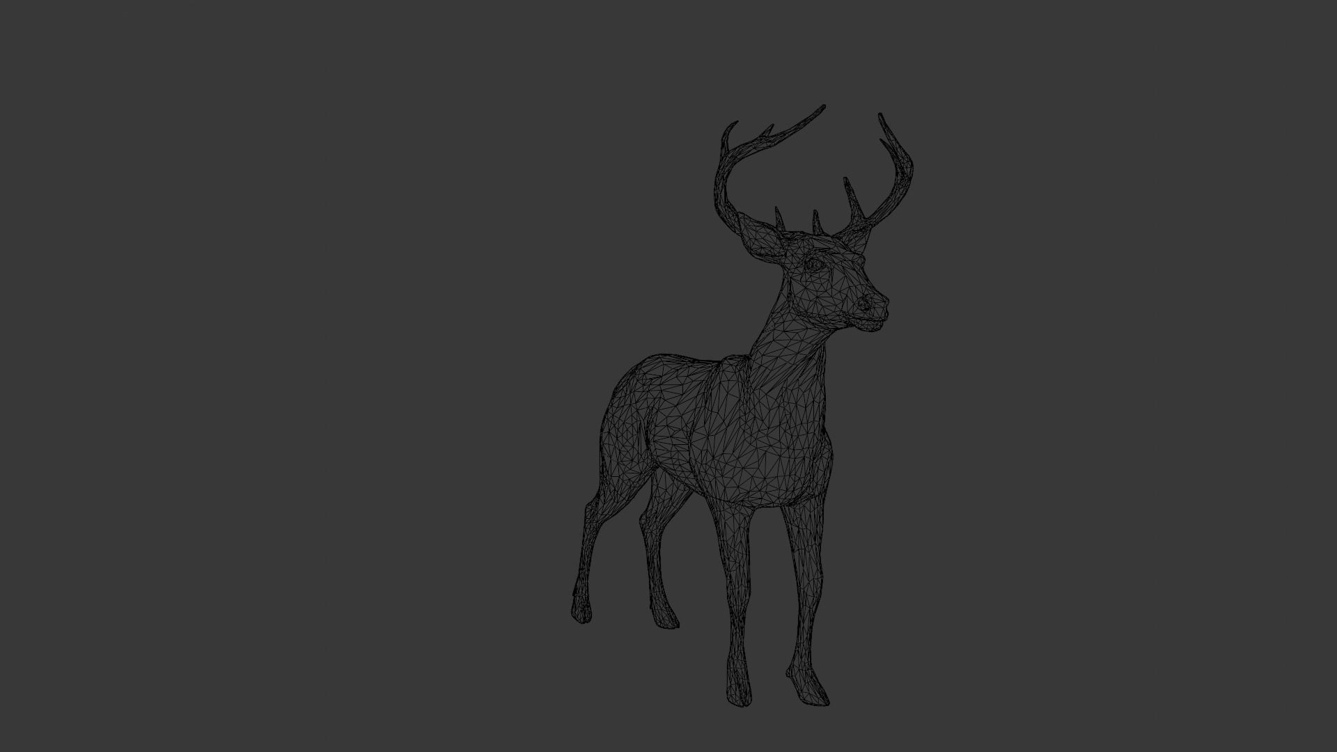 Animated Deer 3D Model  Low-poly 3D model_14