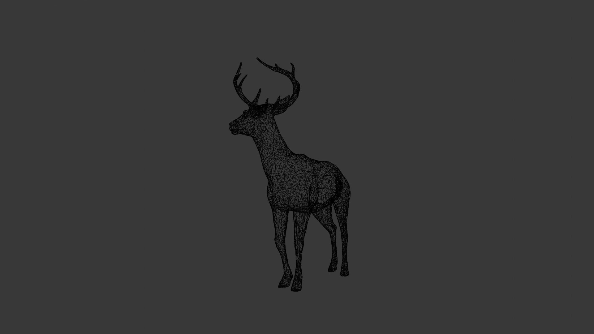 Animated Deer 3D Model  Low-poly 3D model_12