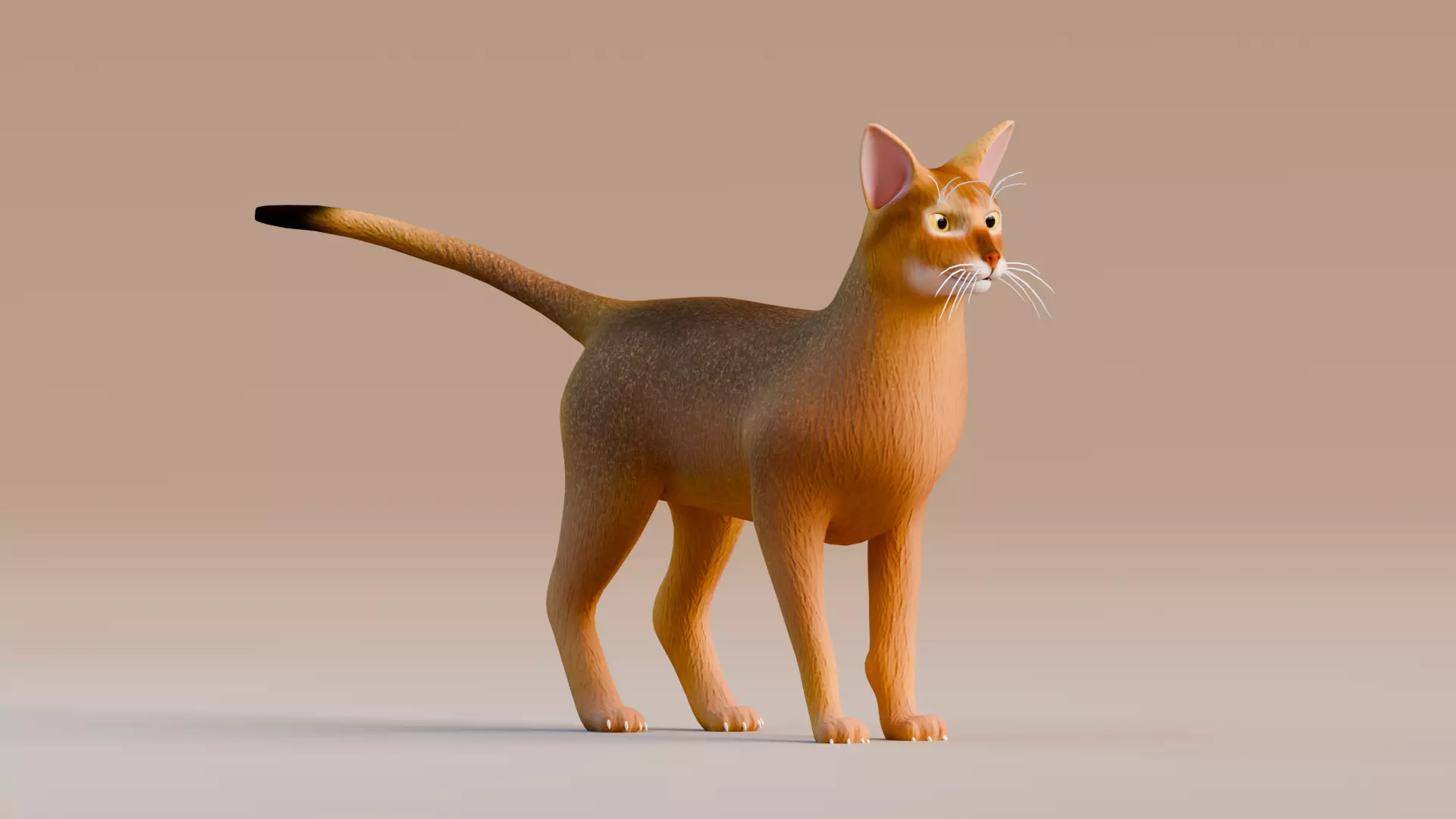 Low poly - Stylized cats - Abyssinian Cat Low-poly 3D model