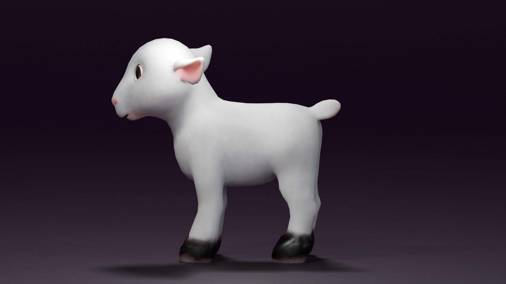 Cartoon Sheep Rigged  Low-poly 3D model_13