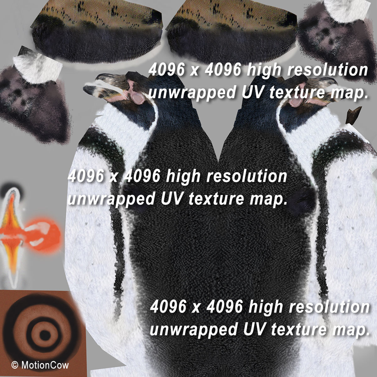 Humboldt Penguin 3D model_15