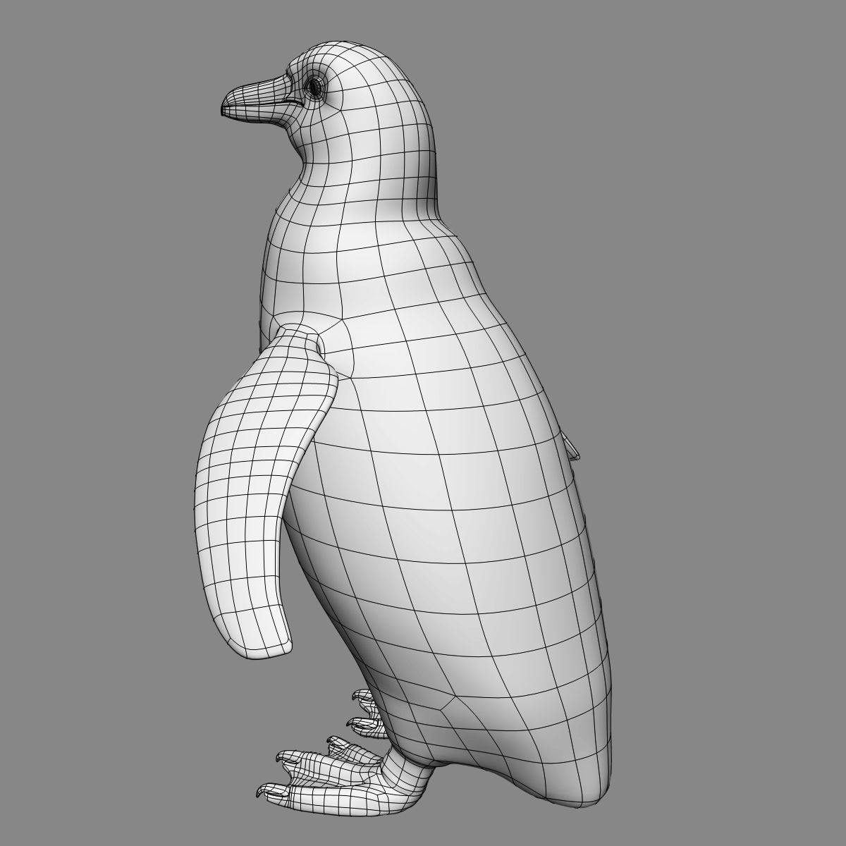 Humboldt Penguin 3D model_12