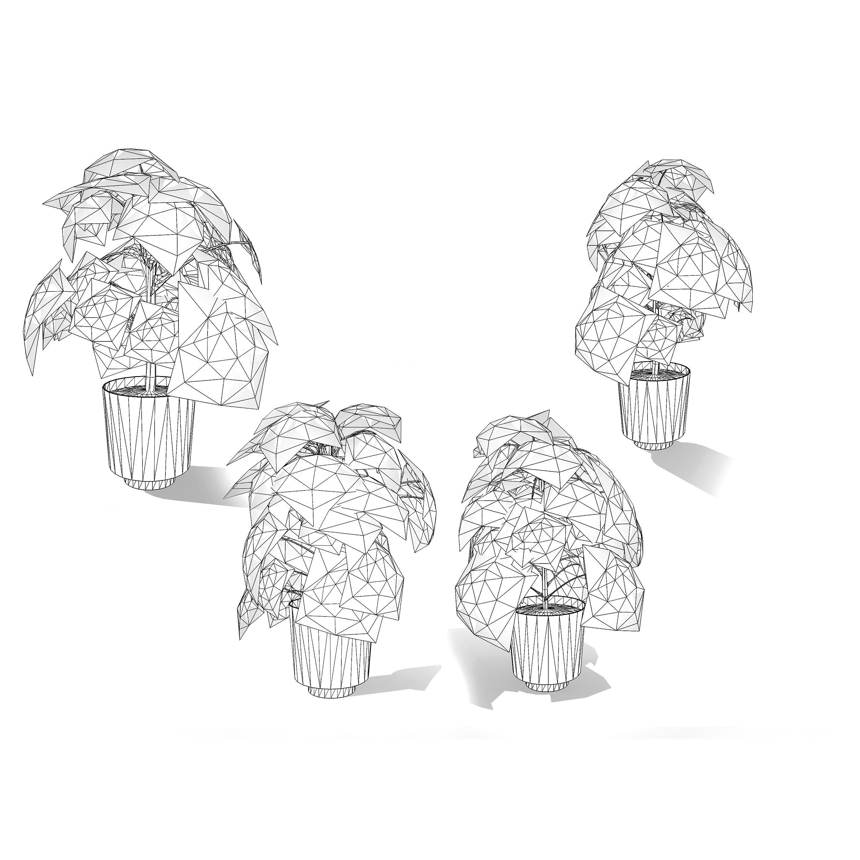 Fatsia japonica Spider Web 3D Model Low-poly 3D model_10