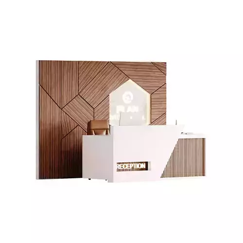 Contemporary Reception 13