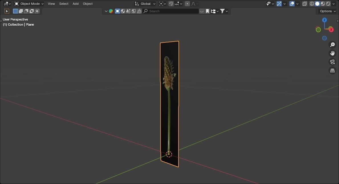 low poly high grass Low-poly 3D model_2