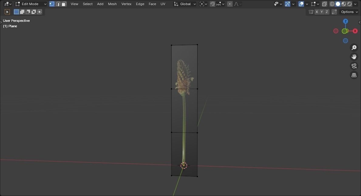 low poly high grass Low-poly 3D model_1