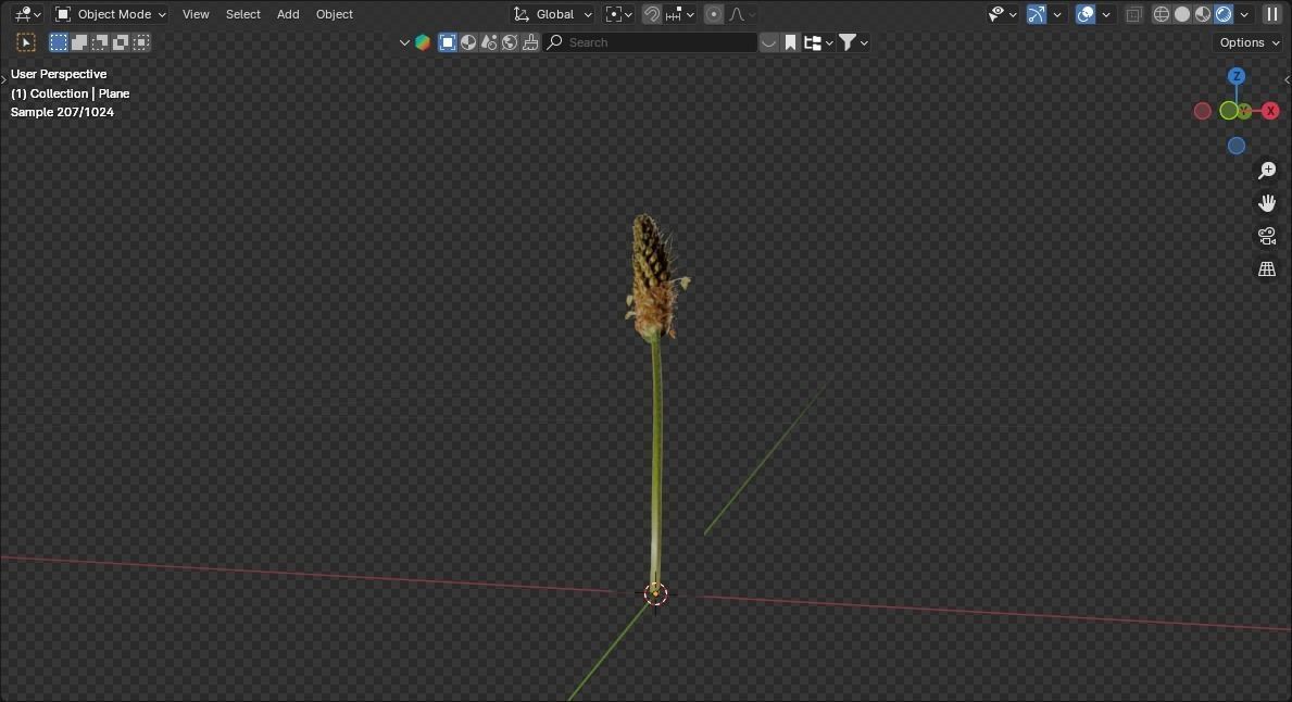 low poly high grass Low-poly 3D model_4