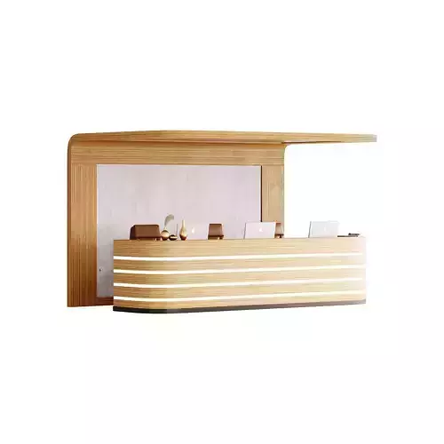  Contemporary Reception 14