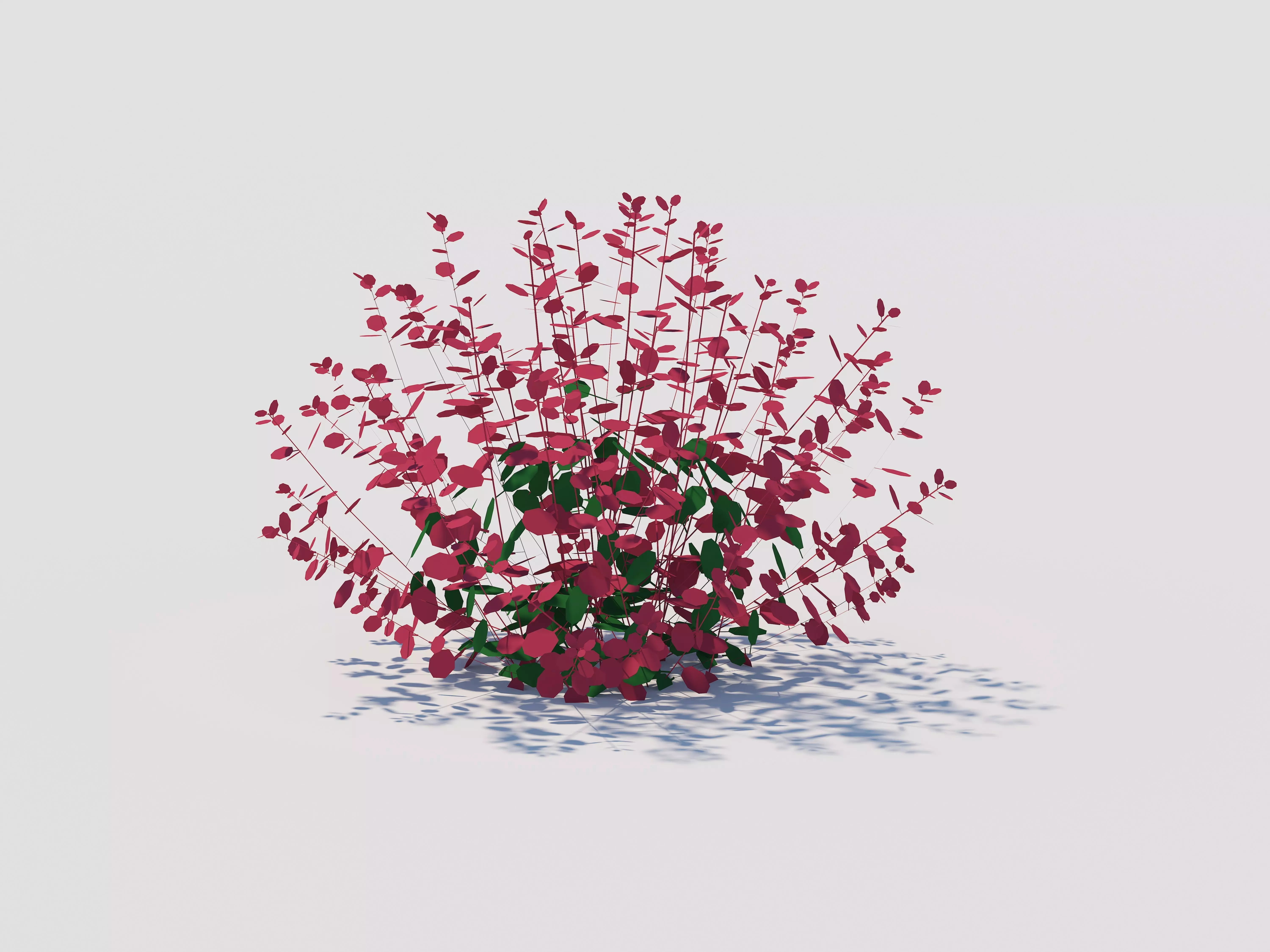 Plant Berberis-barberry Low-poly 3D model