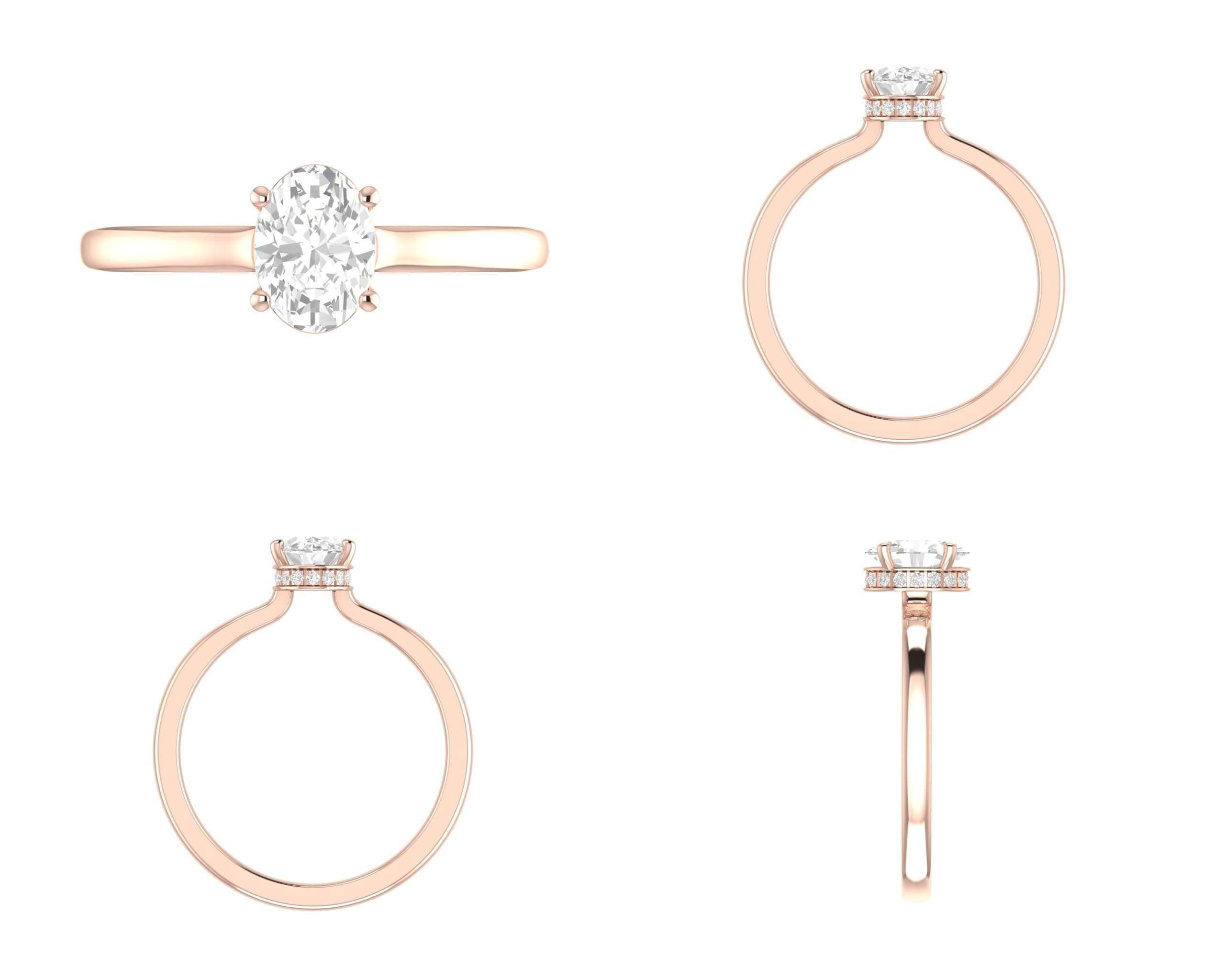 Oval hidden Halo 3D print model_6