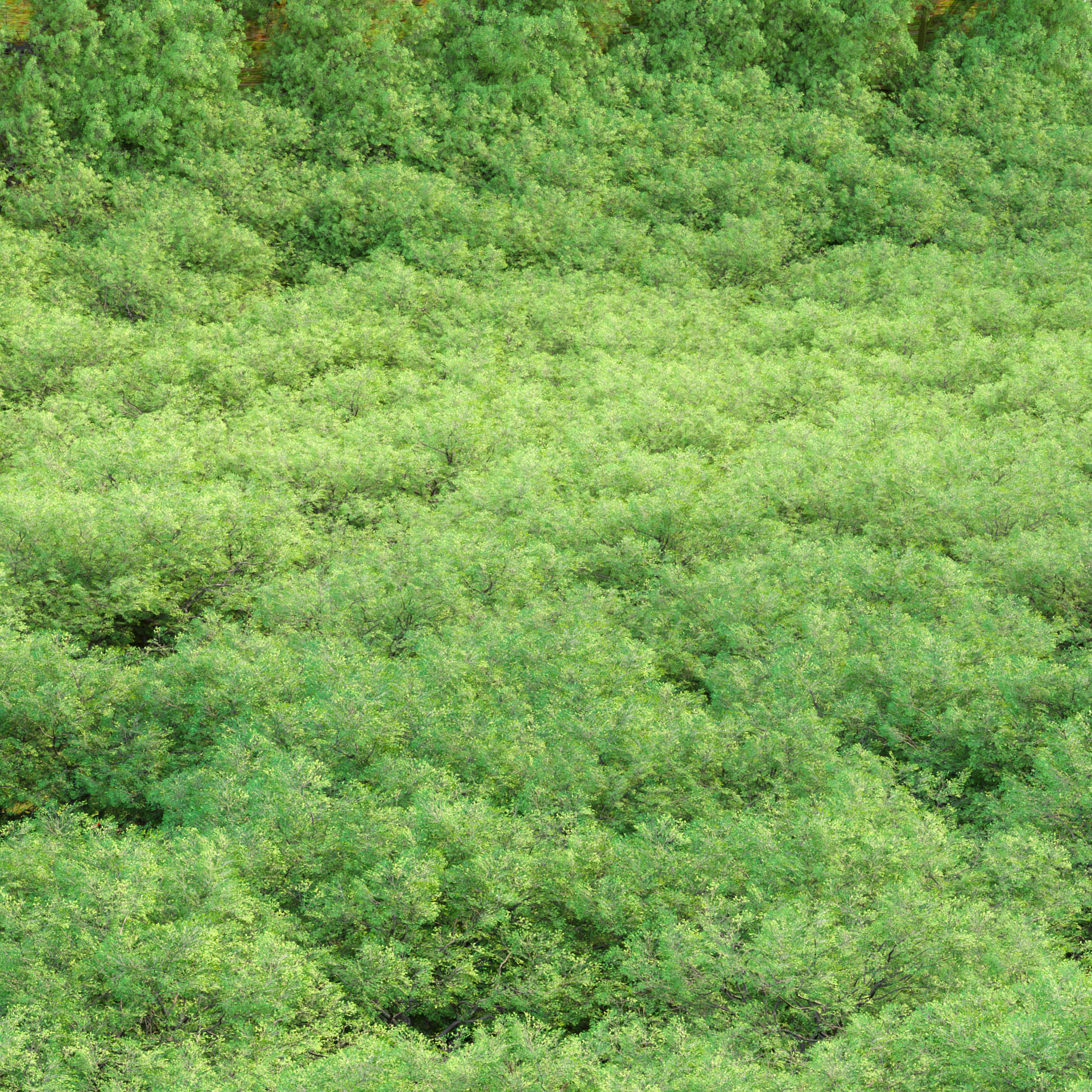 Low poly Oak tree vol 54-Blender Low-poly 3D model_8