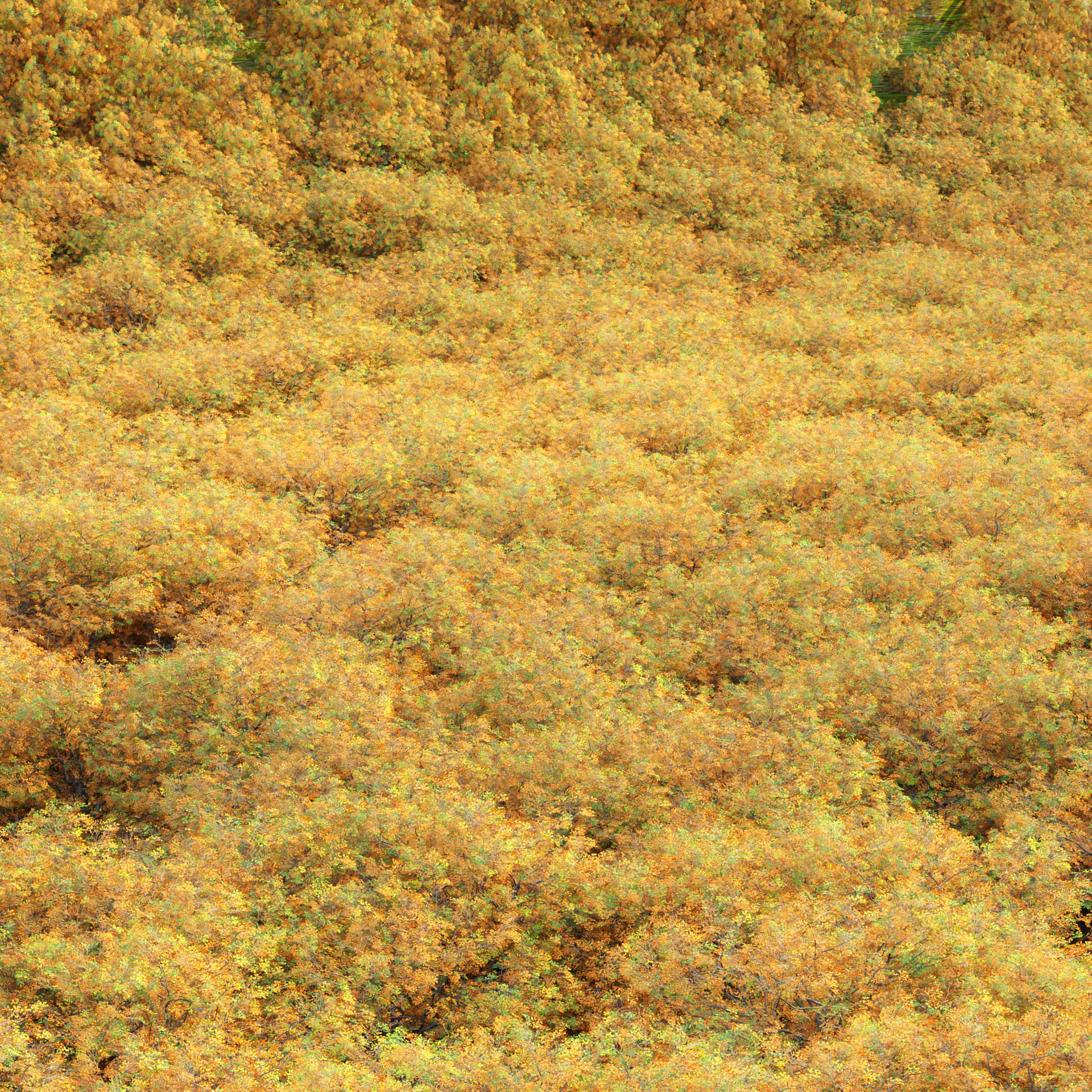 Low poly Oak tree vol 54-Blender Low-poly 3D model_7