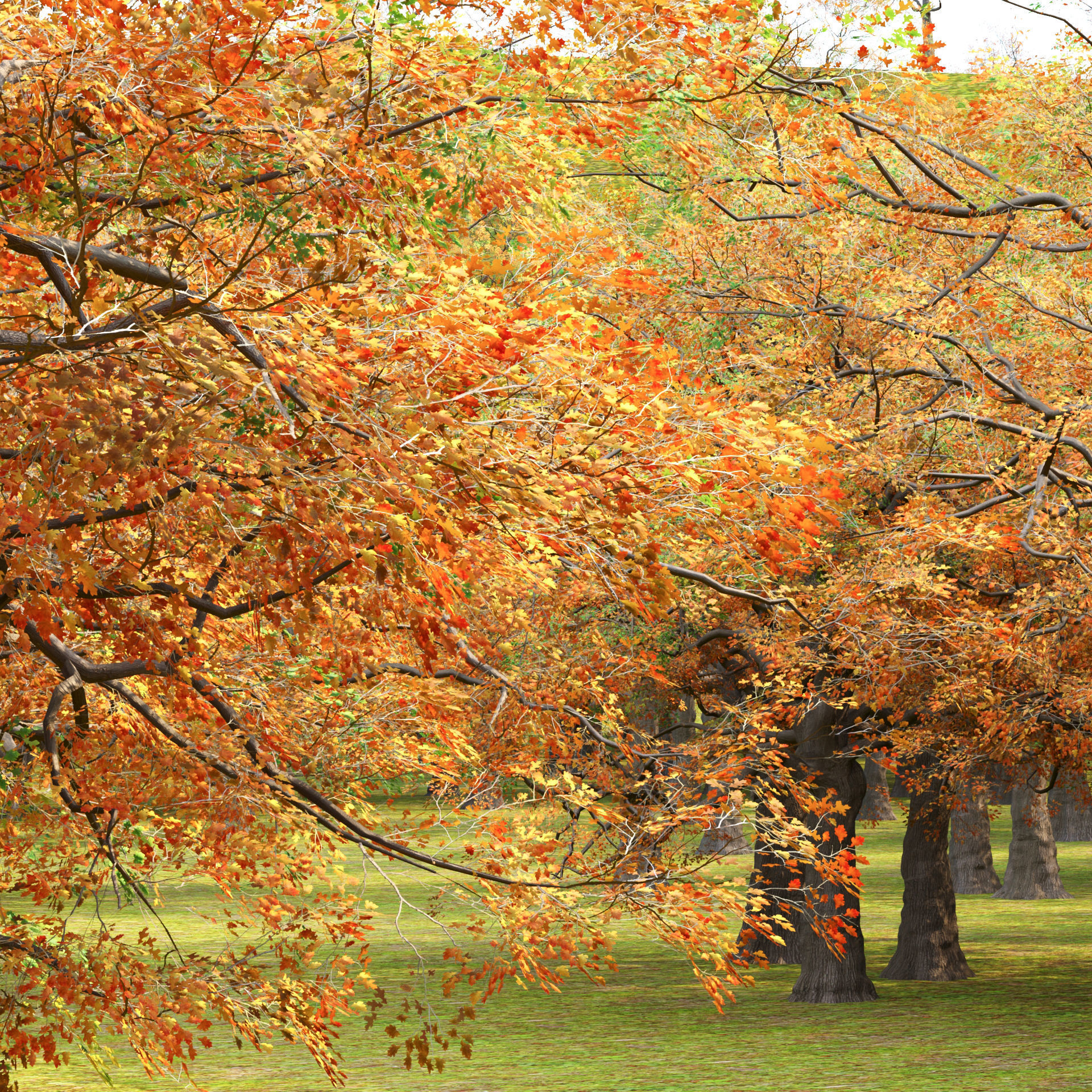 Low poly Oak tree vol 54-Blender Low-poly 3D model_9