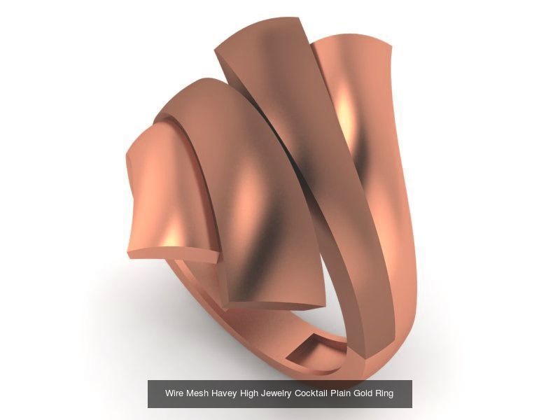 13 Fused Plate Curved Wire Mesh High Jewelry Plain Gold Ring 3D Model Collection_9