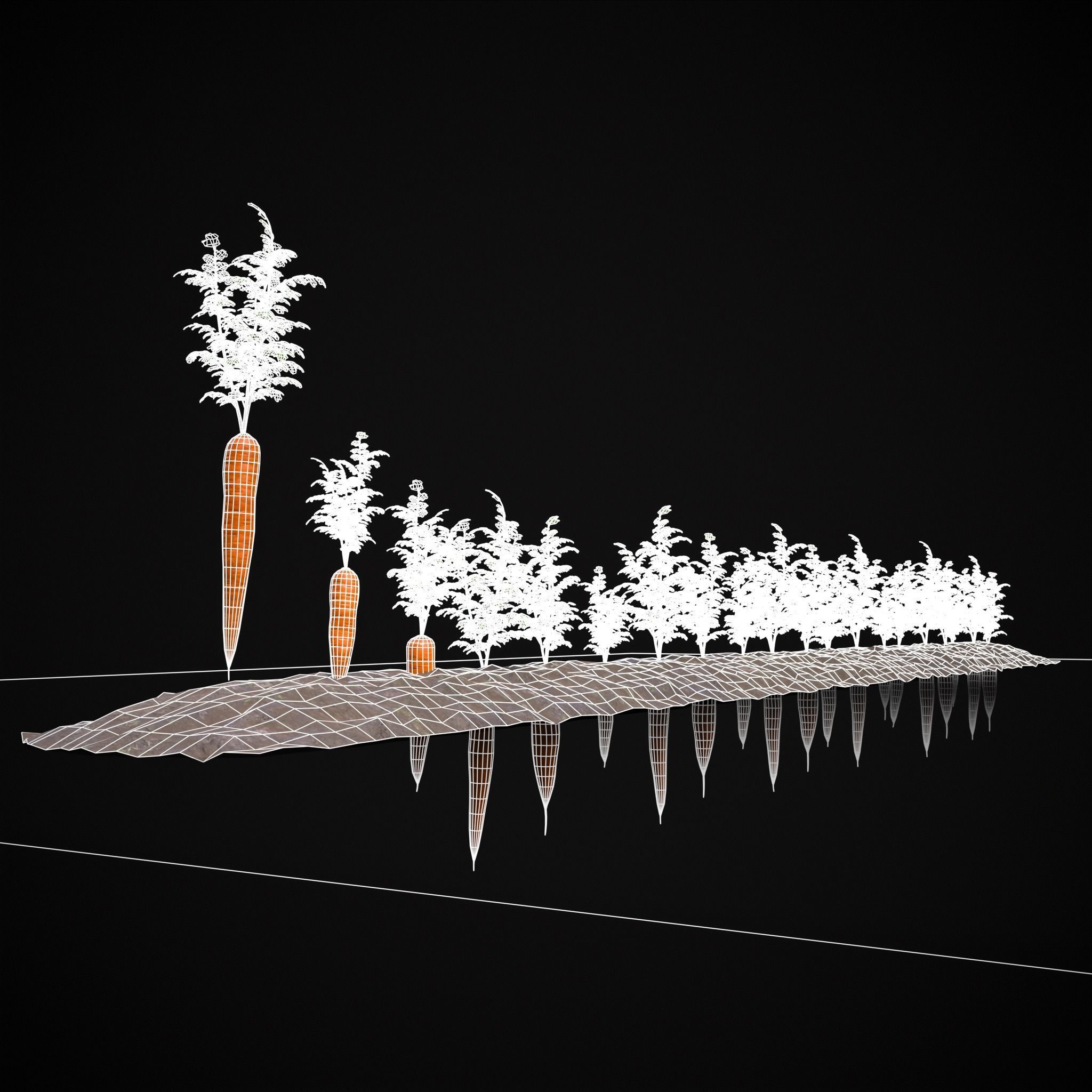 Crops Carrots Low-poly 3D model_14