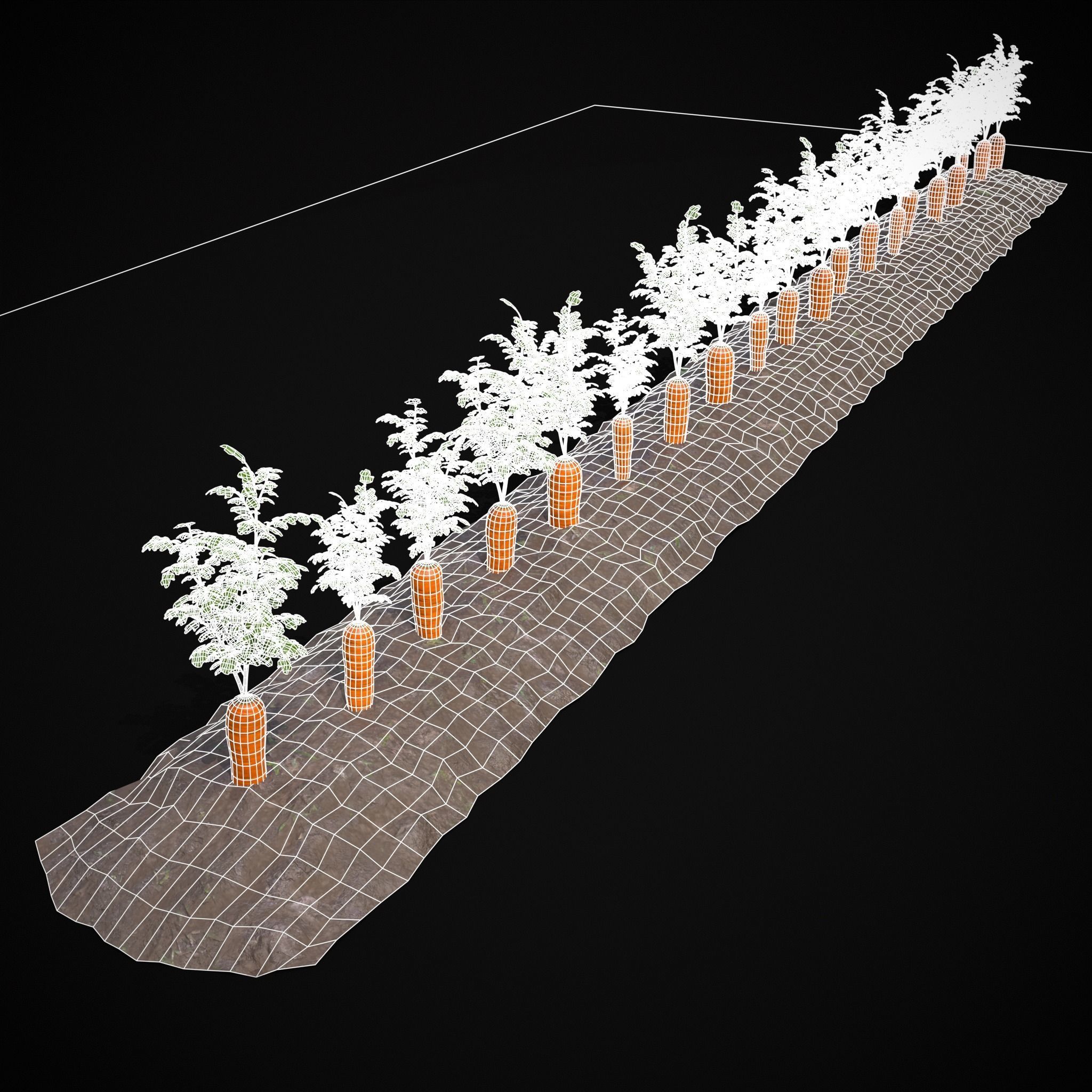 Crops Carrots Low-poly 3D model_6