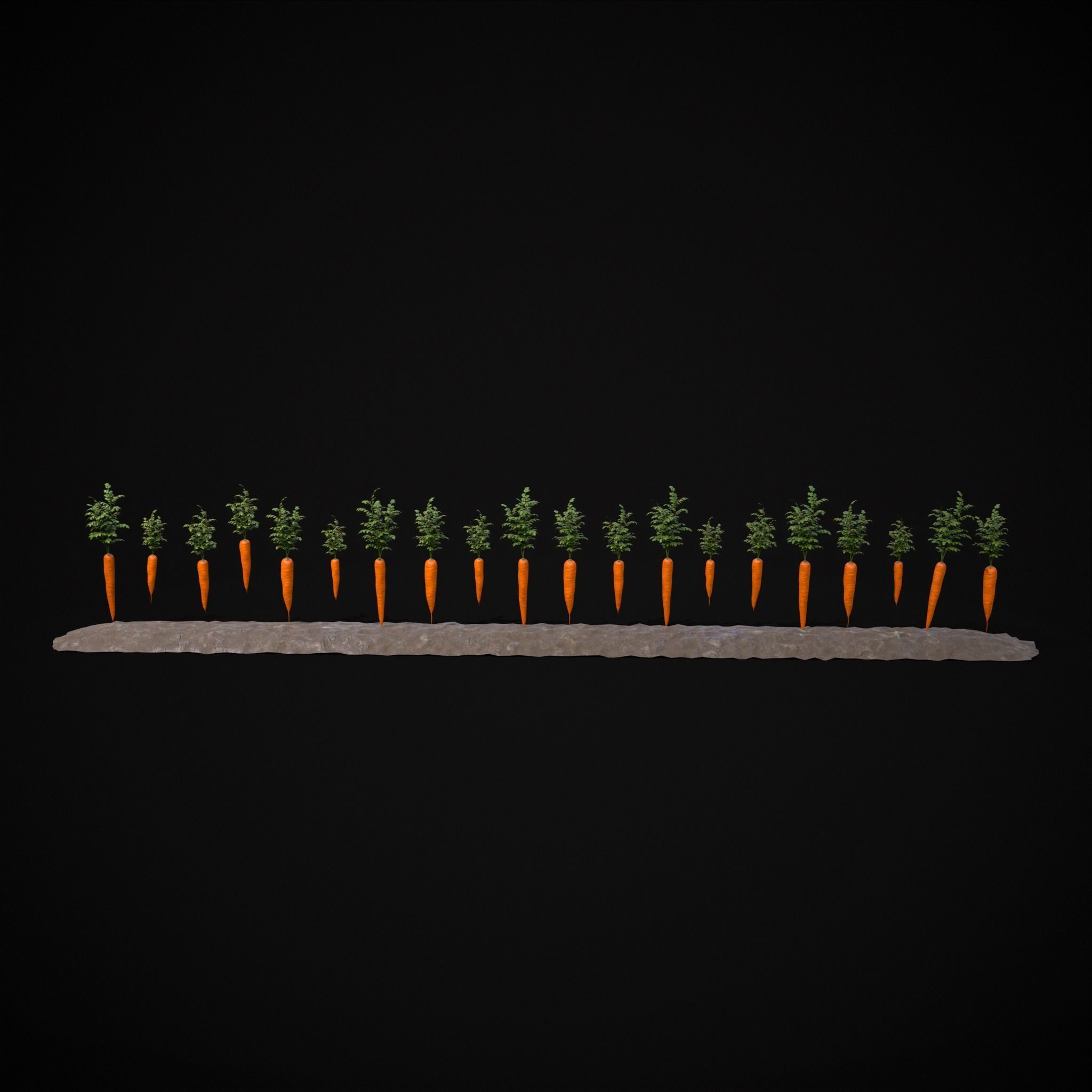 Crops Carrots Low-poly 3D model_27