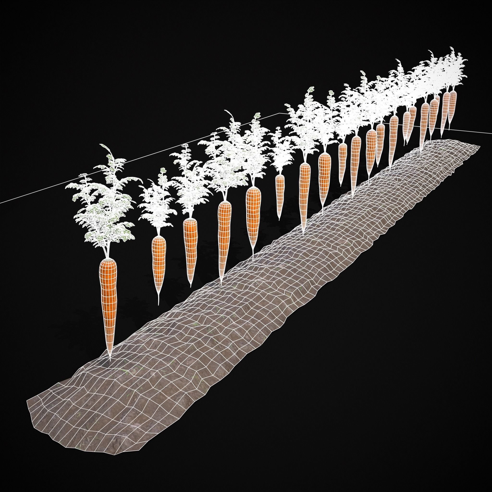 Crops Carrots Low-poly 3D model_8