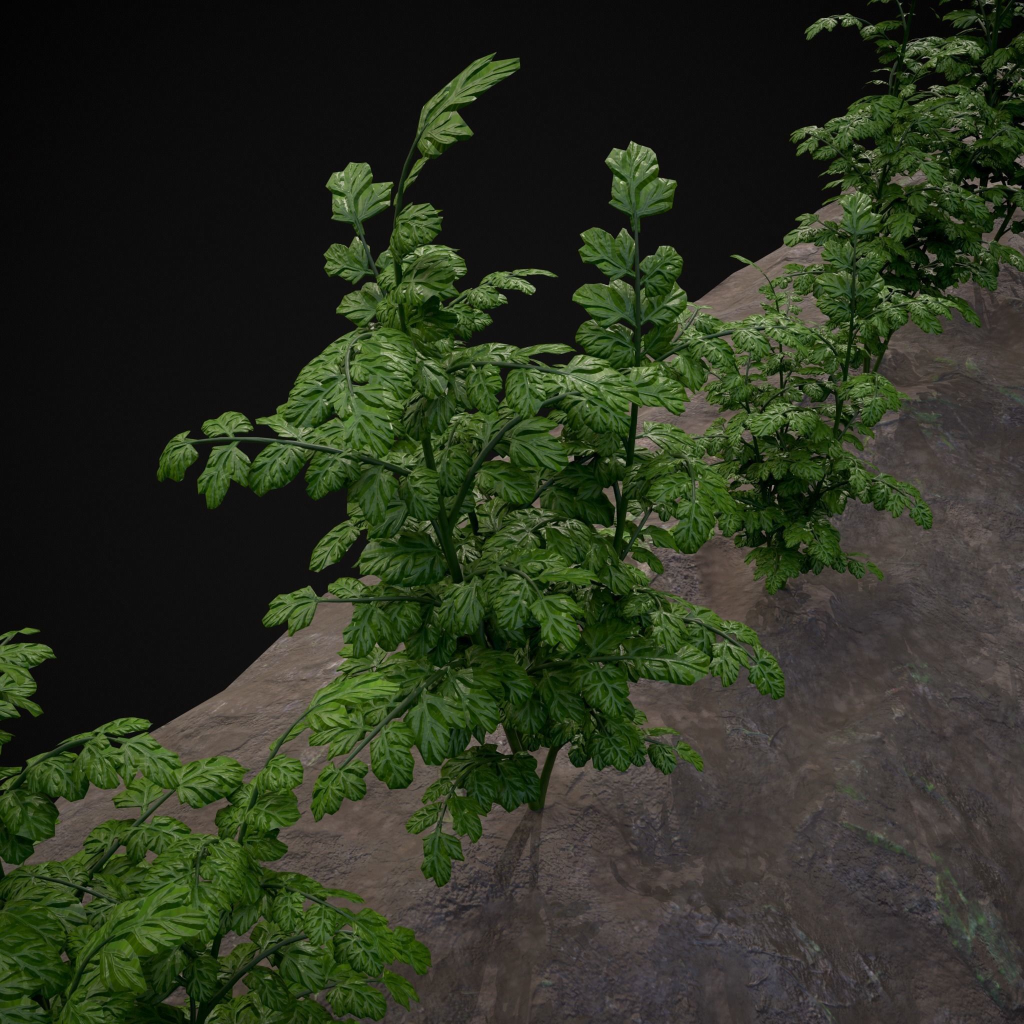 Crops Carrots Low-poly 3D model_25