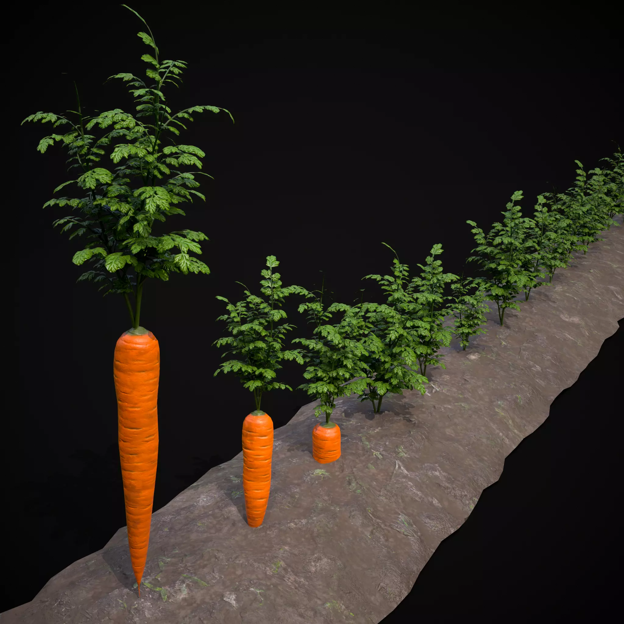 Crops Carrots Low-poly 3D model_0
