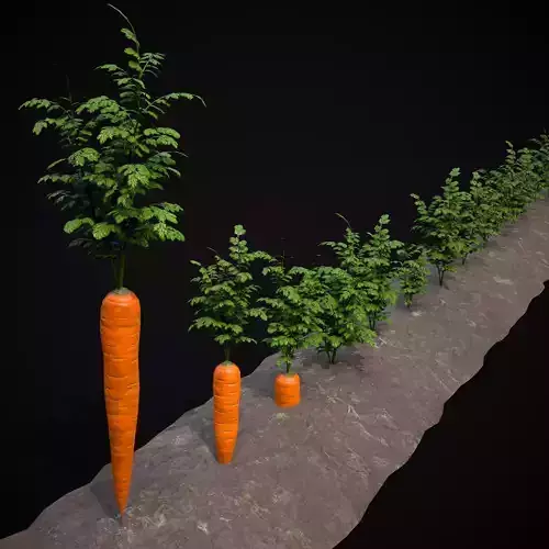Crops Carrots Low-poly 3D model