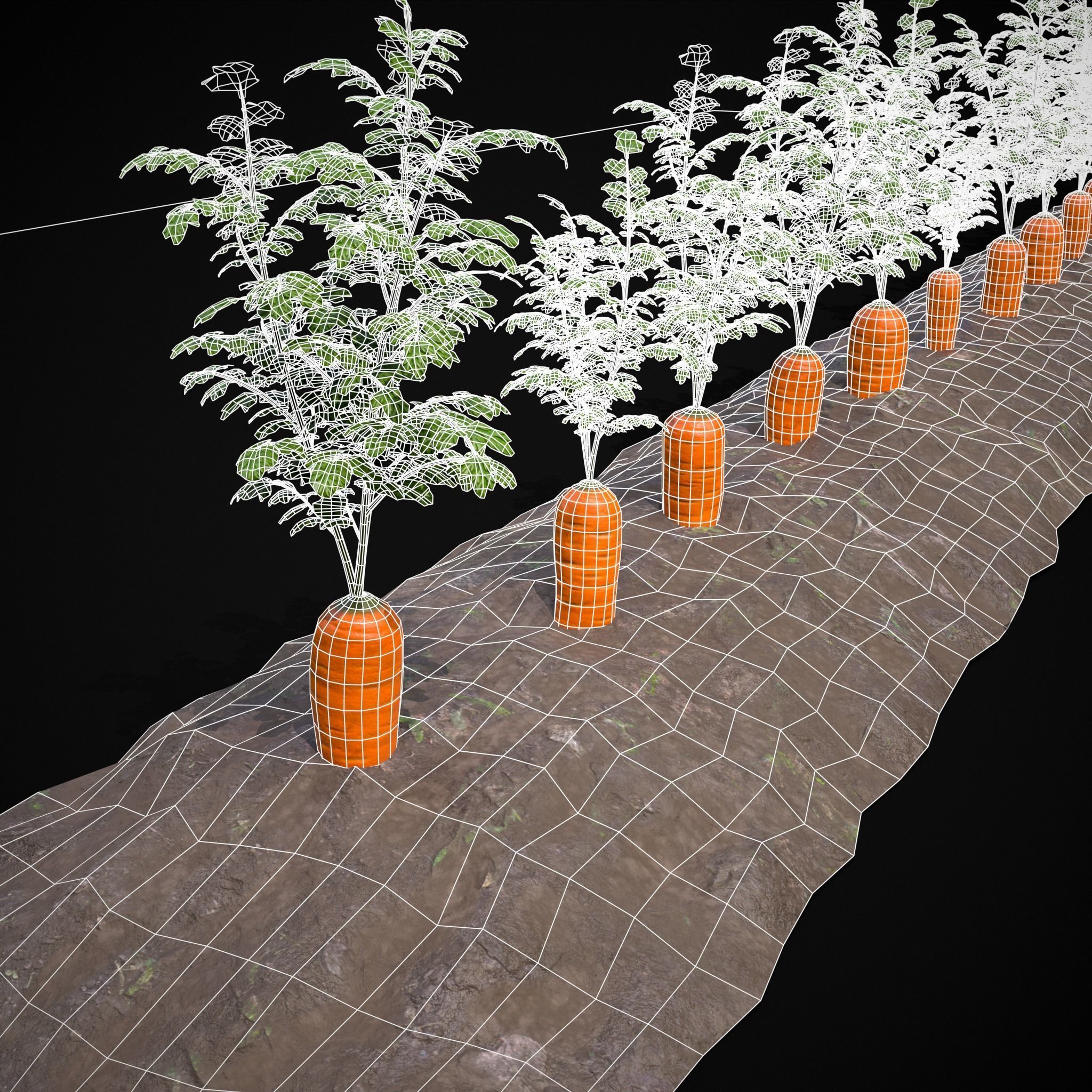 Crops Carrots Low-poly 3D model_12
