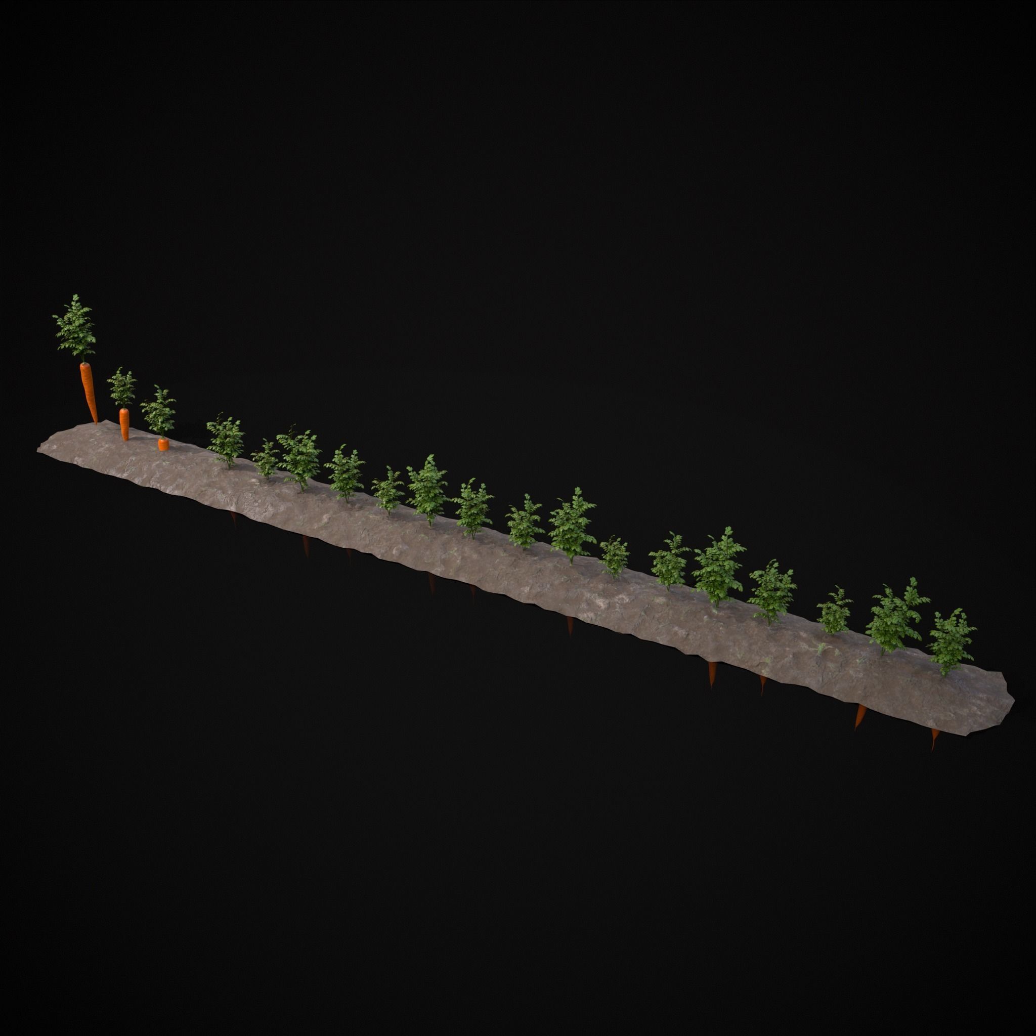 Crops Carrots Low-poly 3D model_19