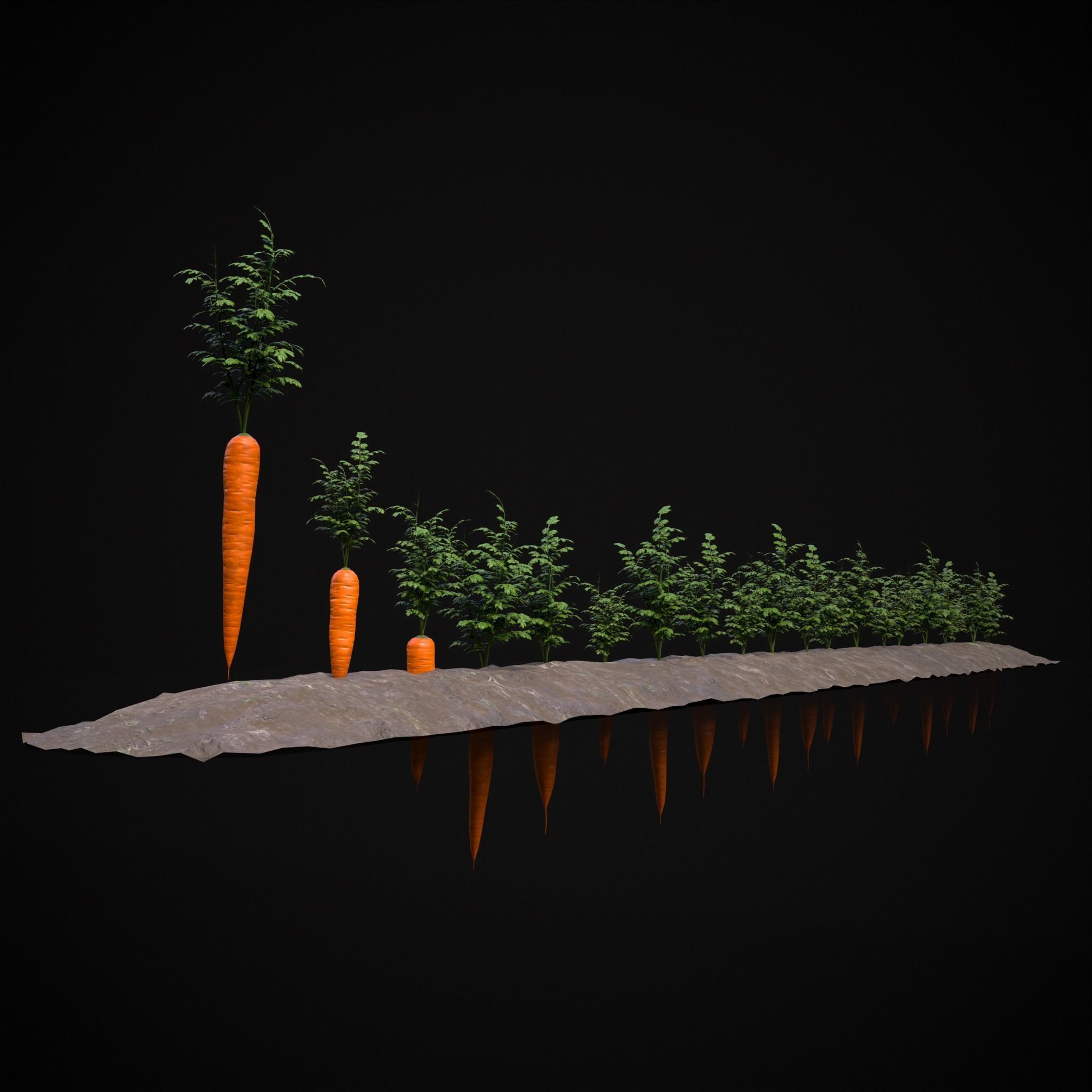 Crops Carrots Low-poly 3D model_13