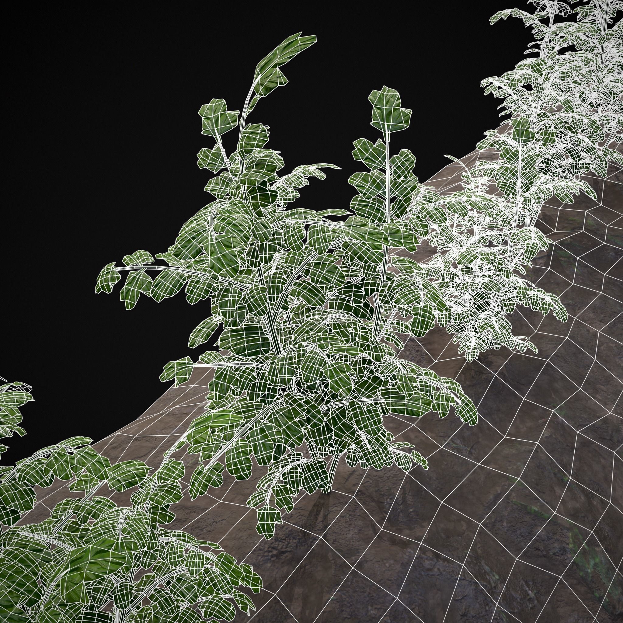 Crops Carrots Low-poly 3D model_26