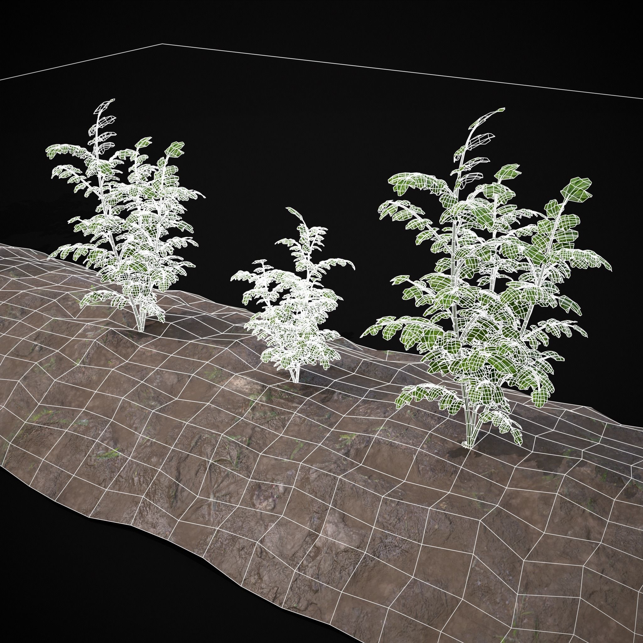 Crops Carrots Low-poly 3D model_18