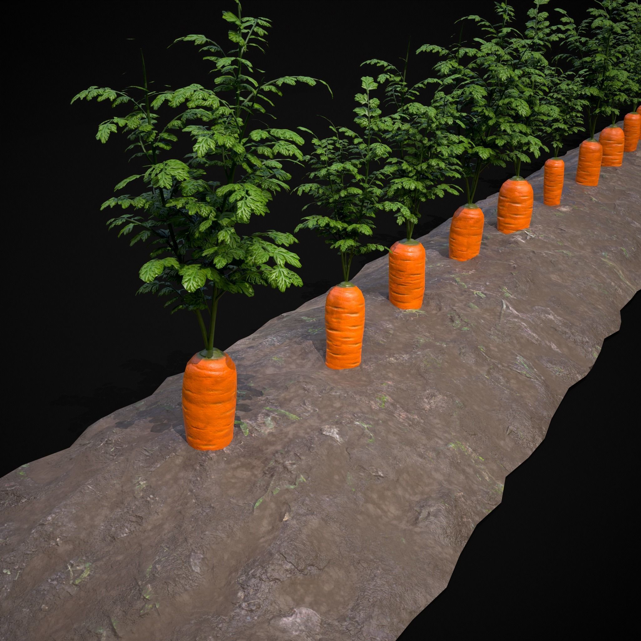 Crops Carrots Low-poly 3D model_11