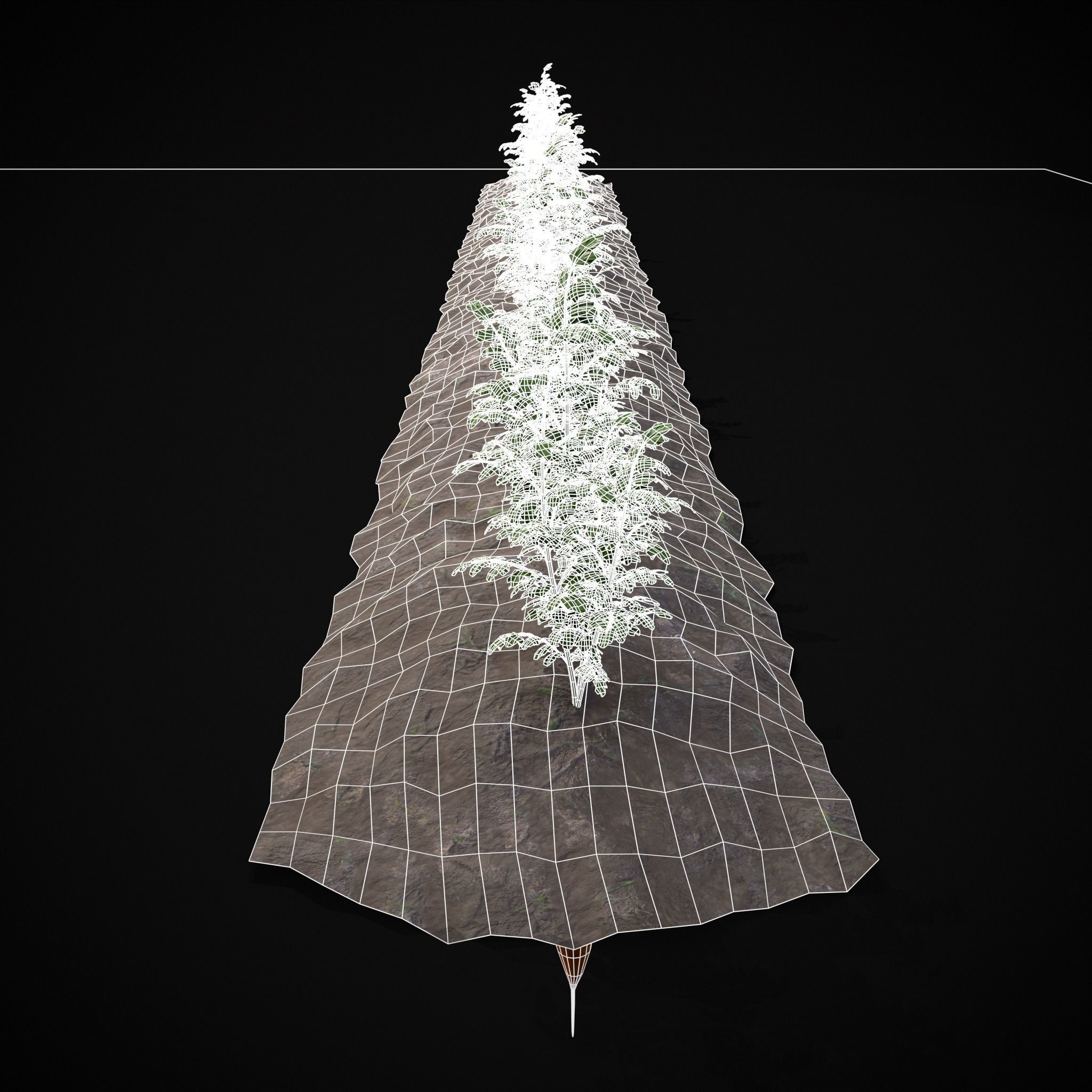 Crops Carrots Low-poly 3D model_24