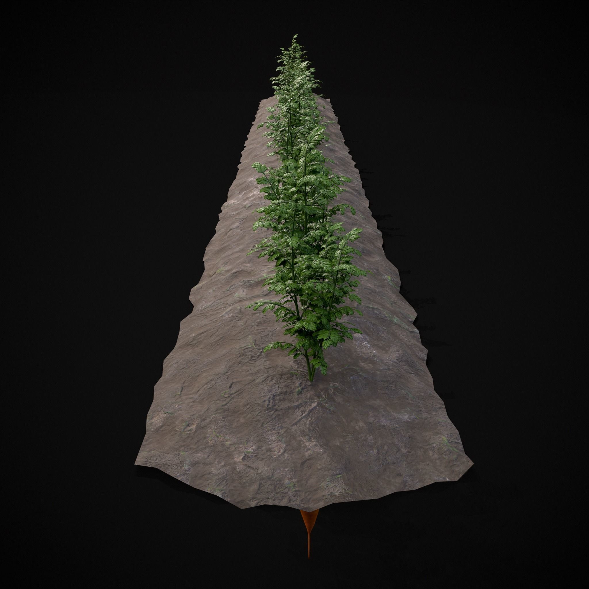 Crops Carrots Low-poly 3D model_23