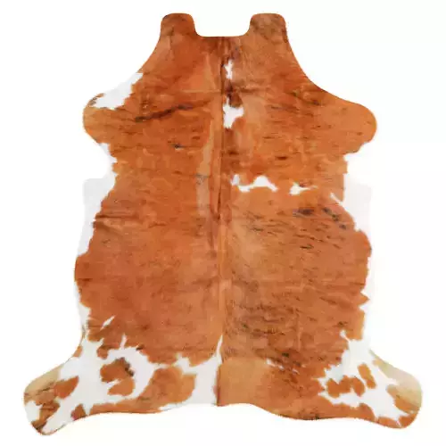 Tricolor Cowhide Rug A26876