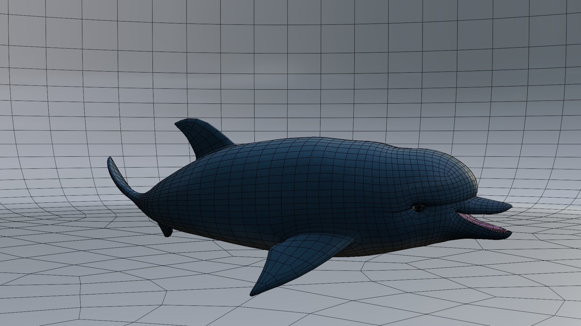 Dolphin 3D model_8