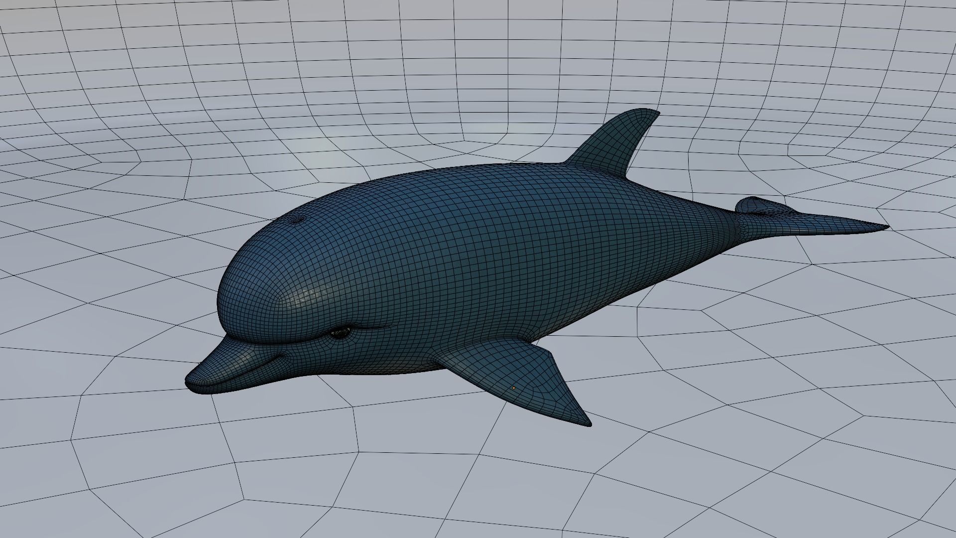 Dolphin 3D model_1