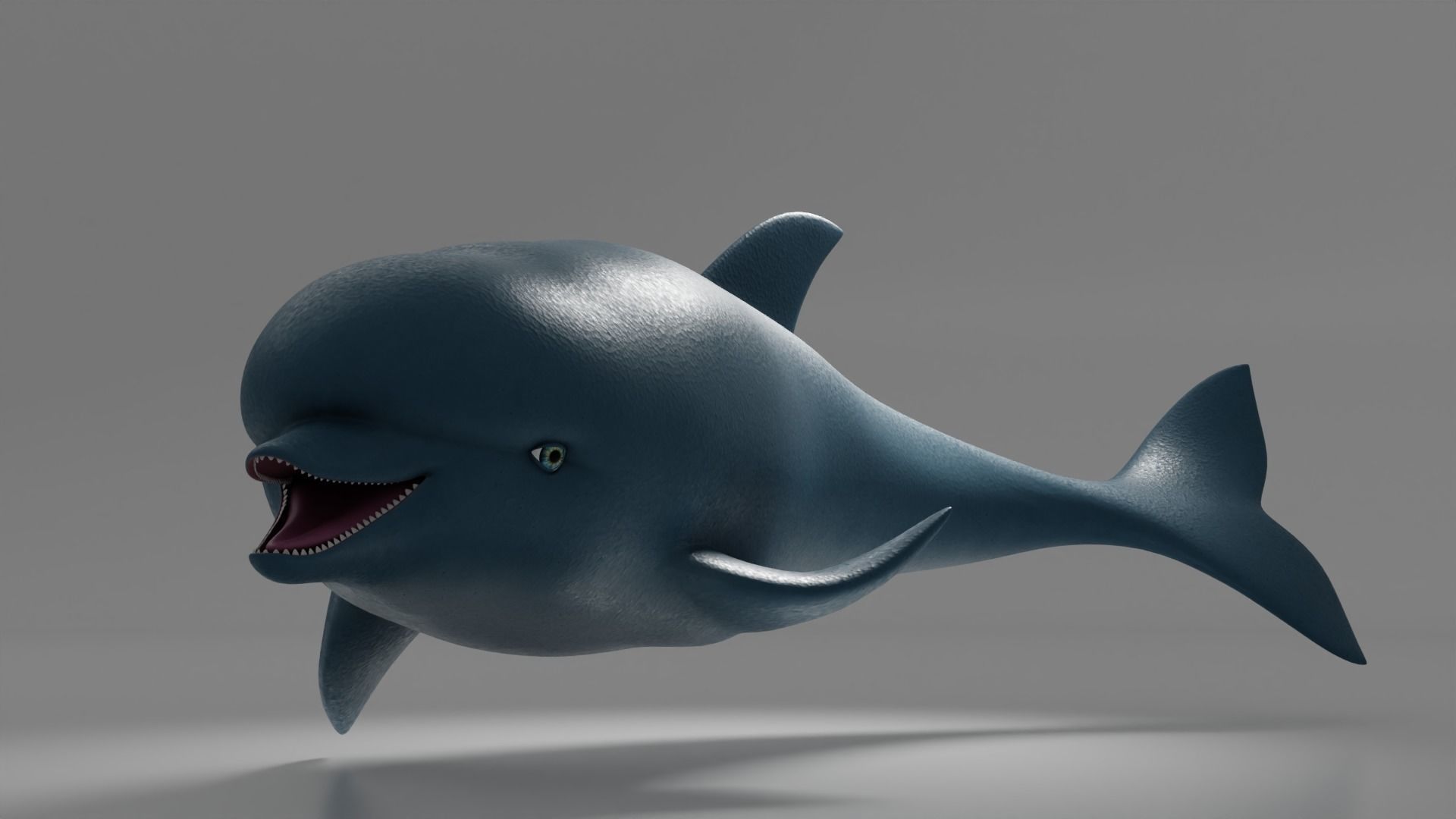 Dolphin 3D model_3