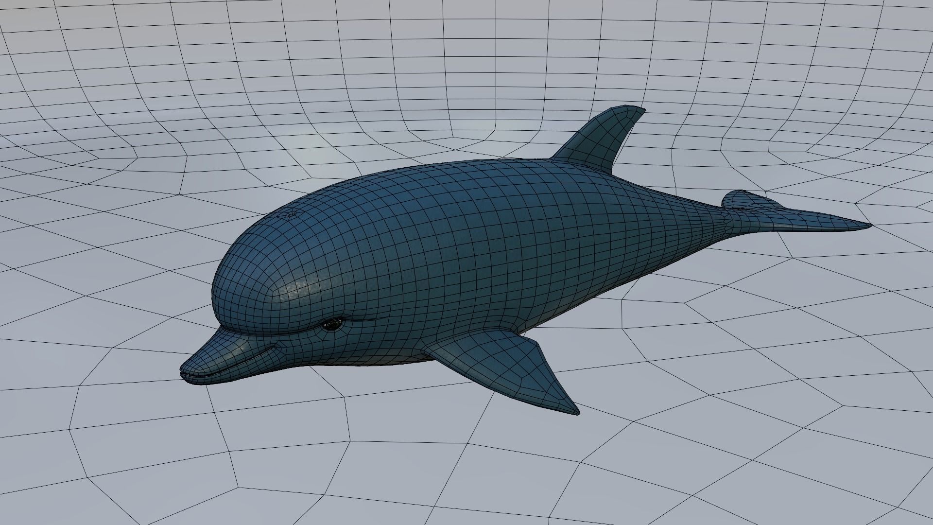 Dolphin 3D model_2
