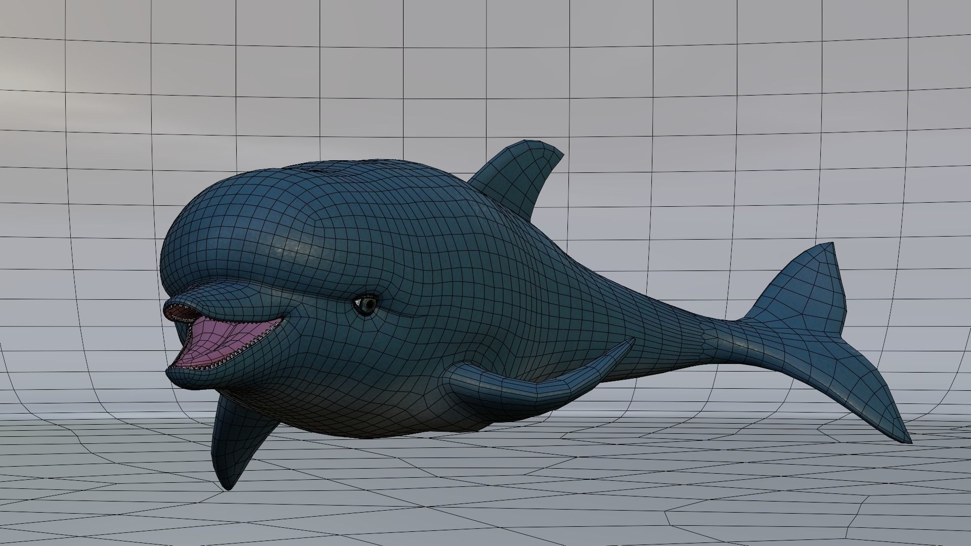 Dolphin 3D model_5
