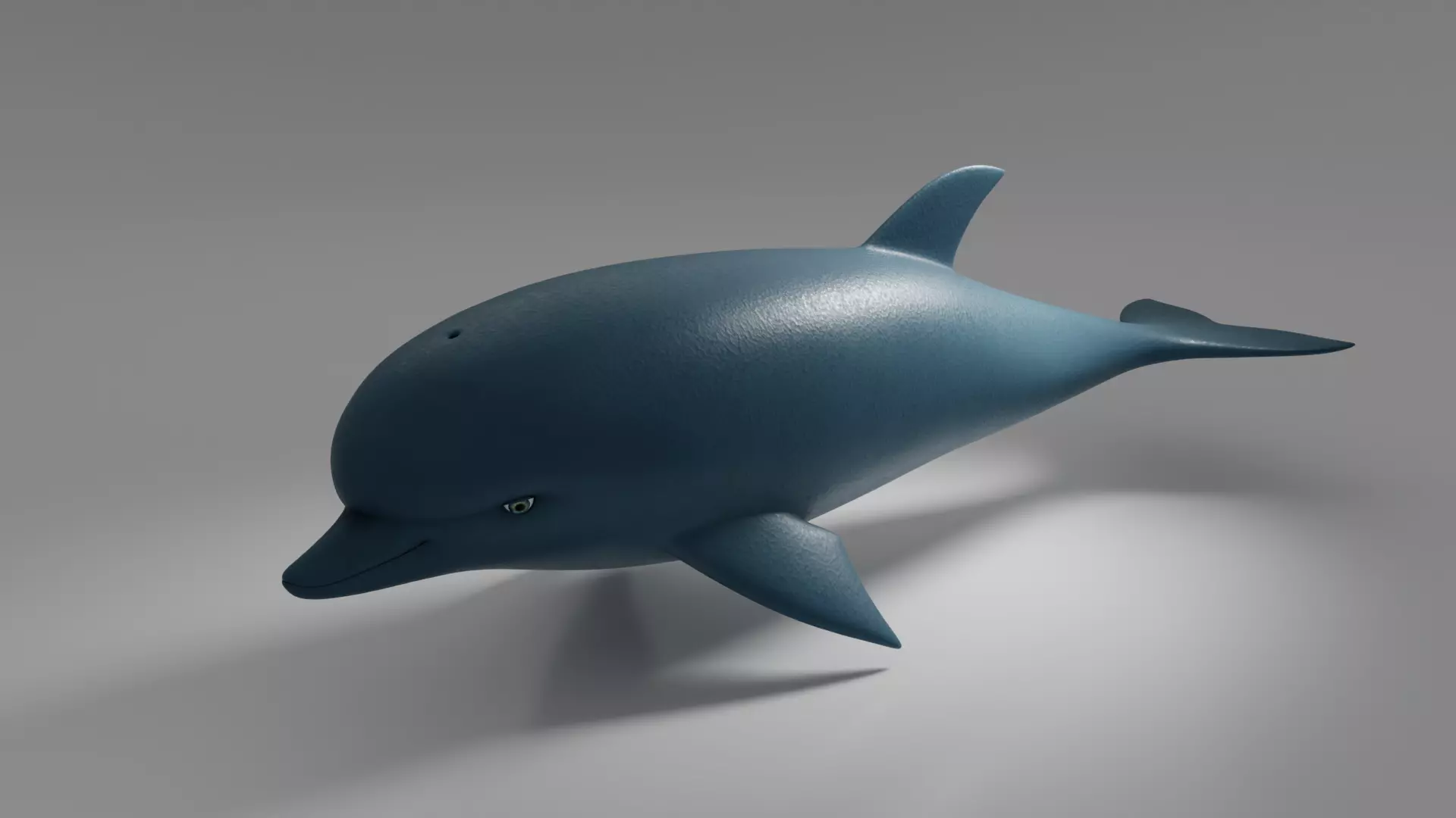 Dolphin 3D model_0