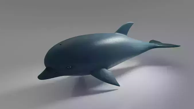 Dolphin