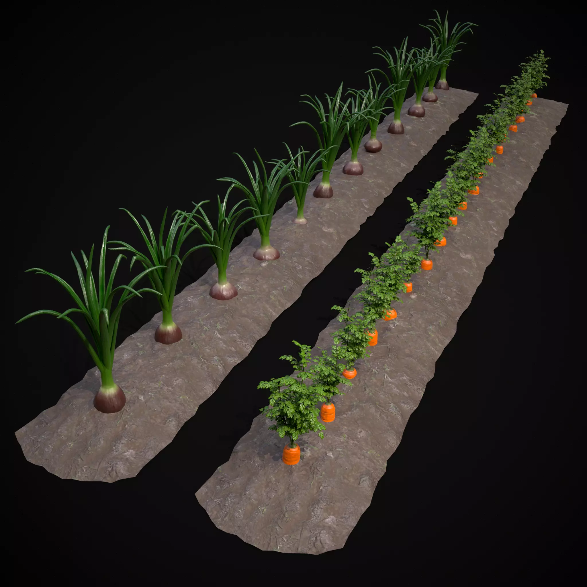 Crops Carrots and Red Onions 3D Model Collection_0