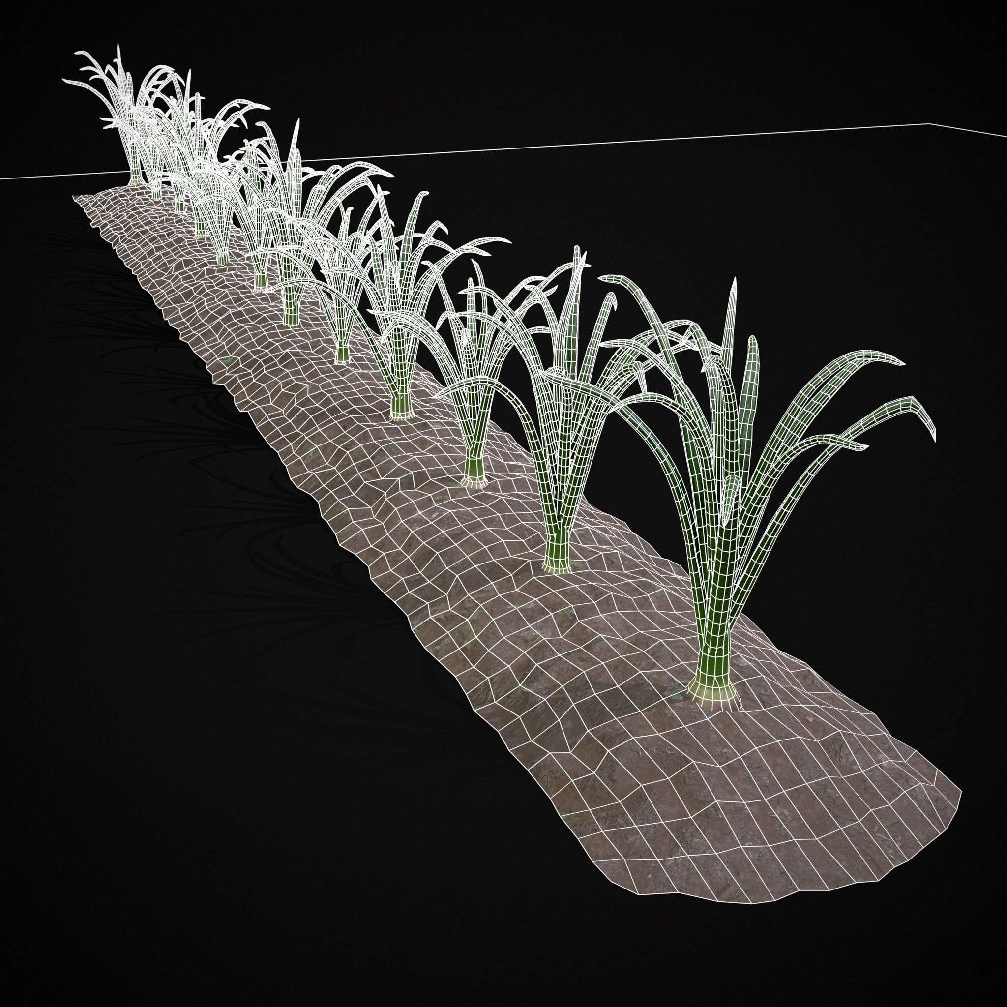 Crops Carrots and Red Onions 3D Model Collection_31