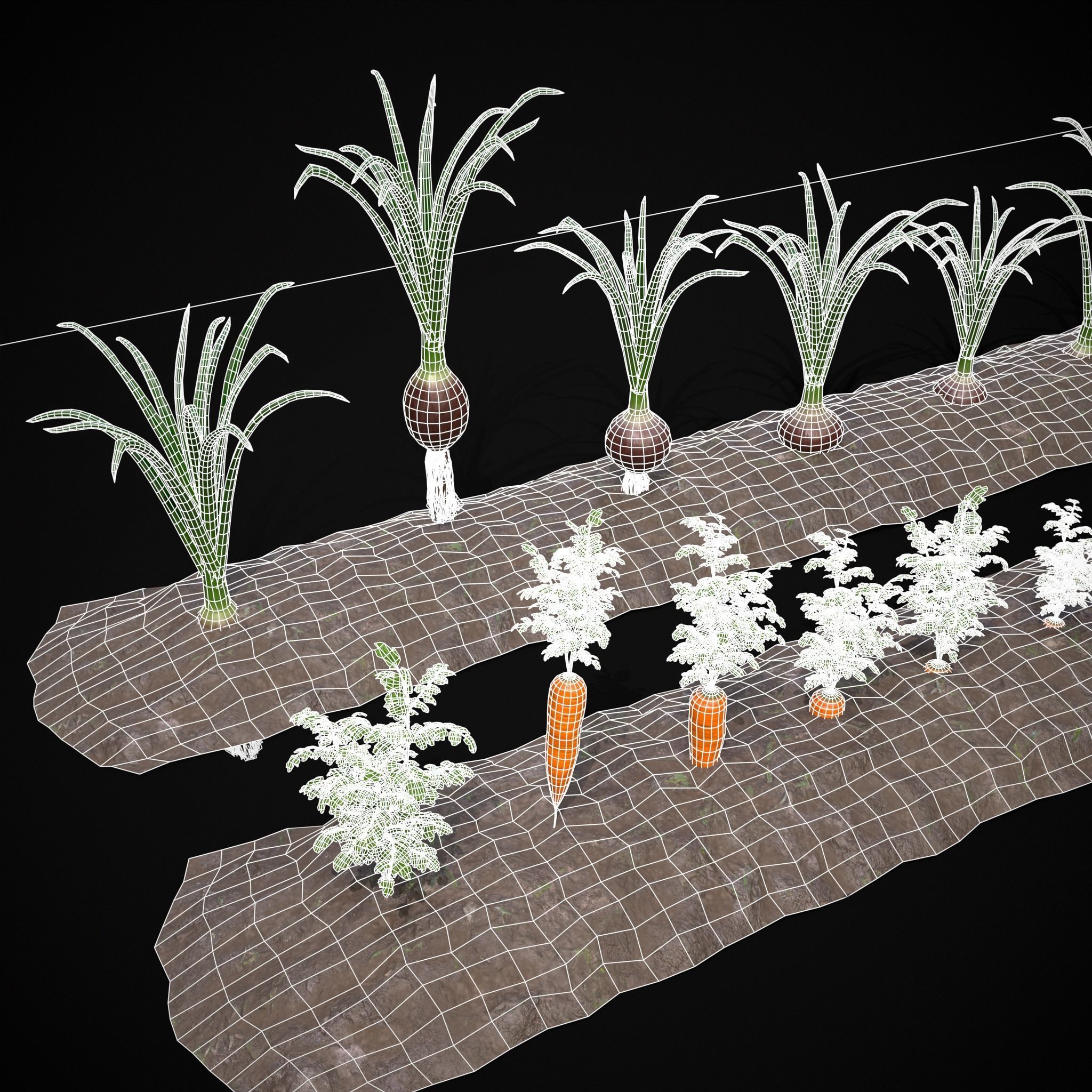 Crops Carrots and Red Onions 3D Model Collection_9