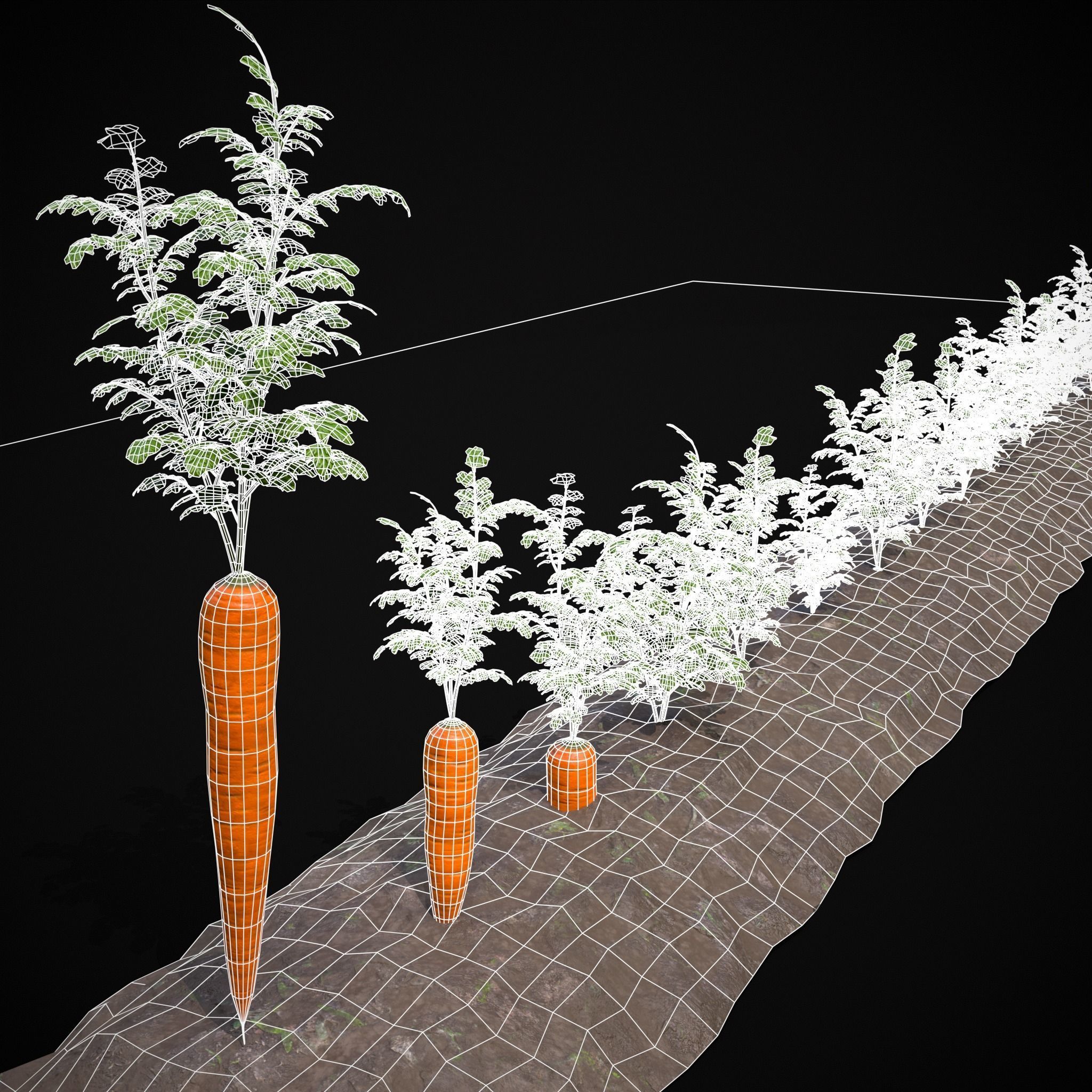 Crops Carrots and Red Onions 3D Model Collection_20