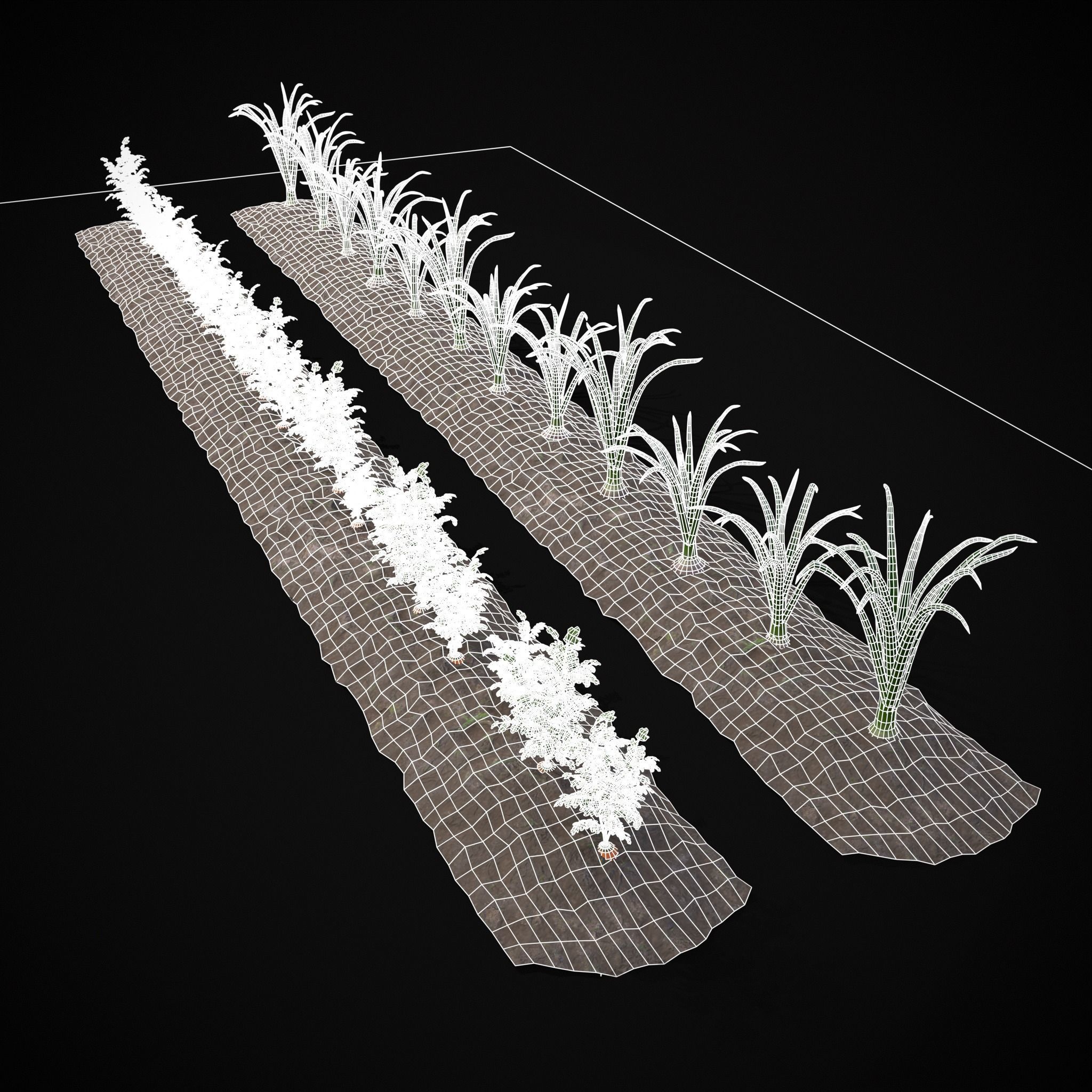 Crops Carrots and Red Onions 3D Model Collection_13