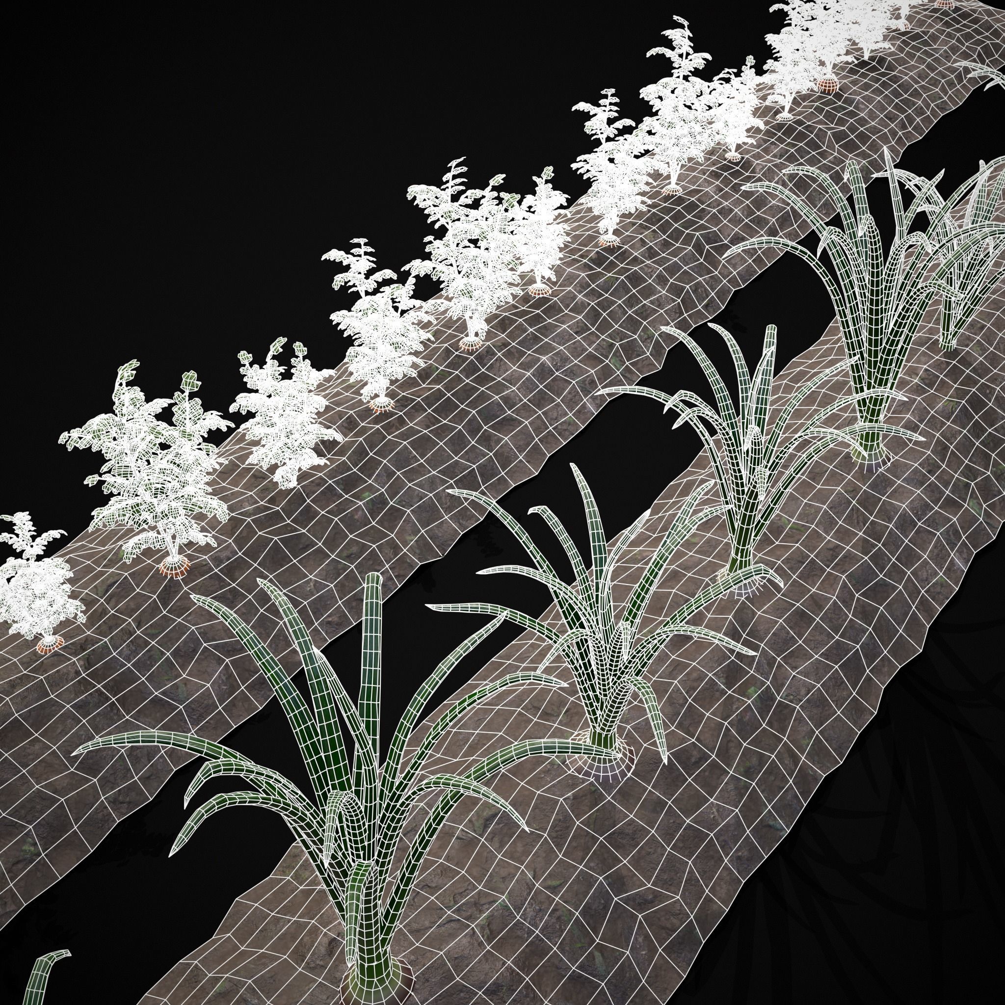 Crops Carrots and Red Onions 3D Model Collection_7